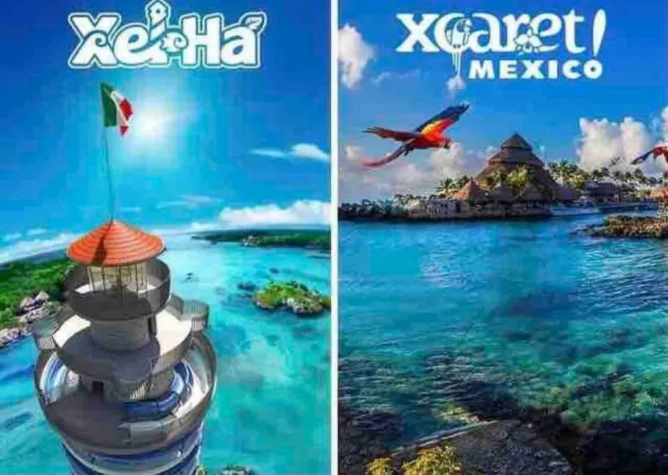 Luxury Apartment with M Benz and & Driver Included