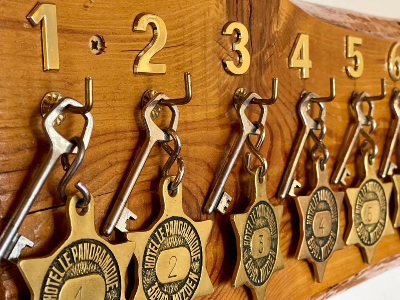 Lobby or reception in Hôtel Chalet Le Panoramique