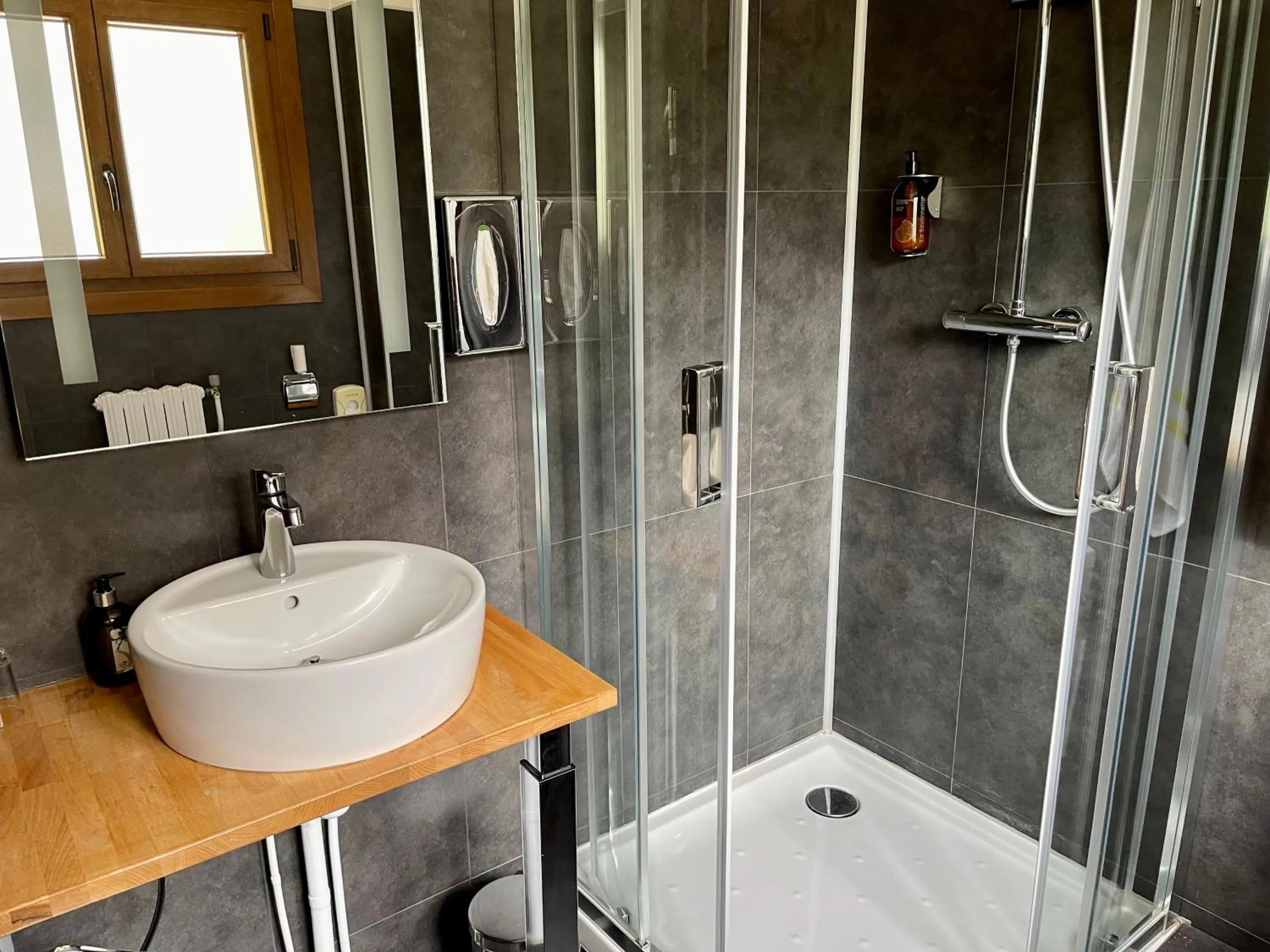 Shower in Hôtel Chalet Le Panoramique