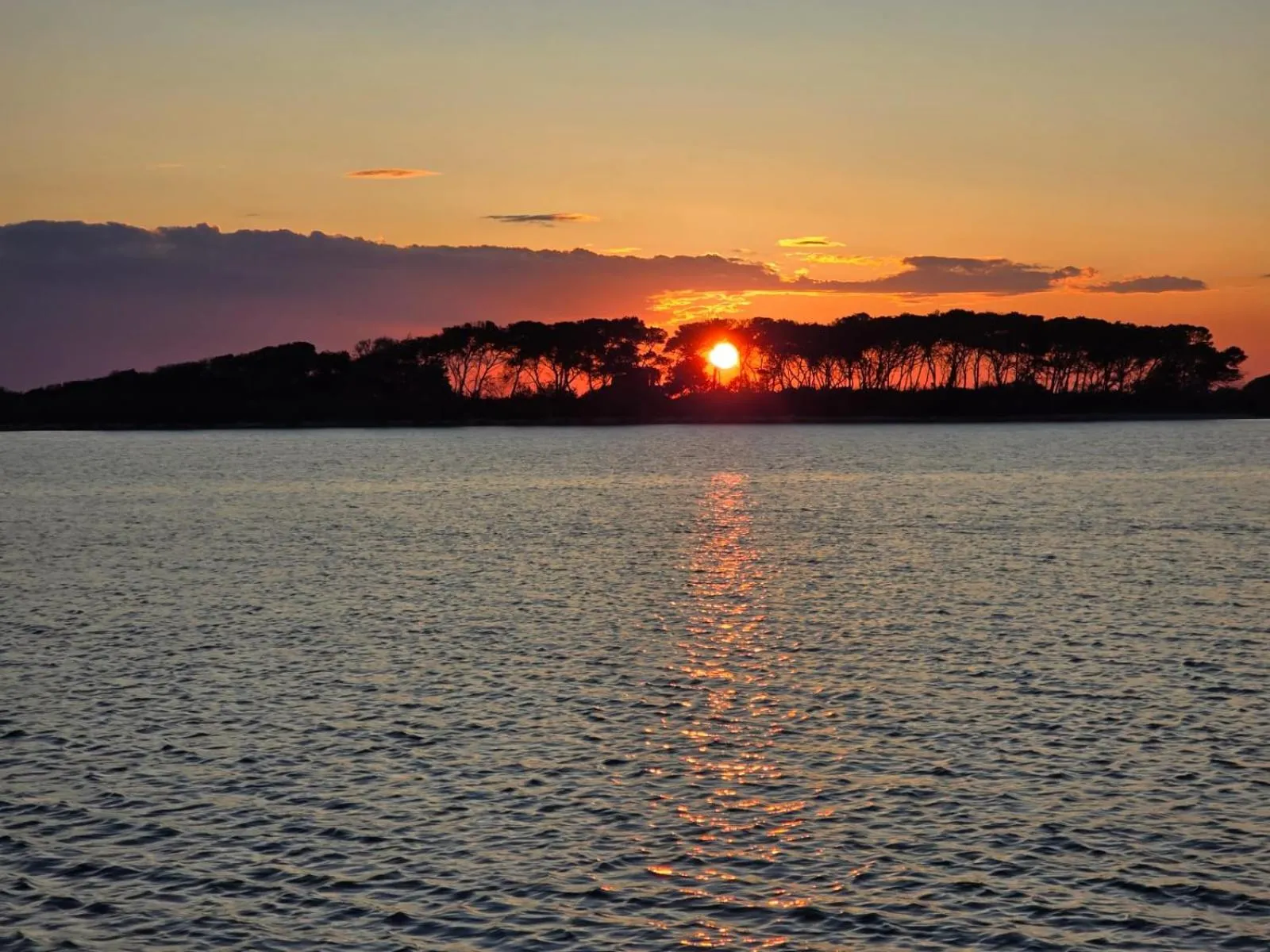Natural landscape in ALG Apartments con Parcheggio
