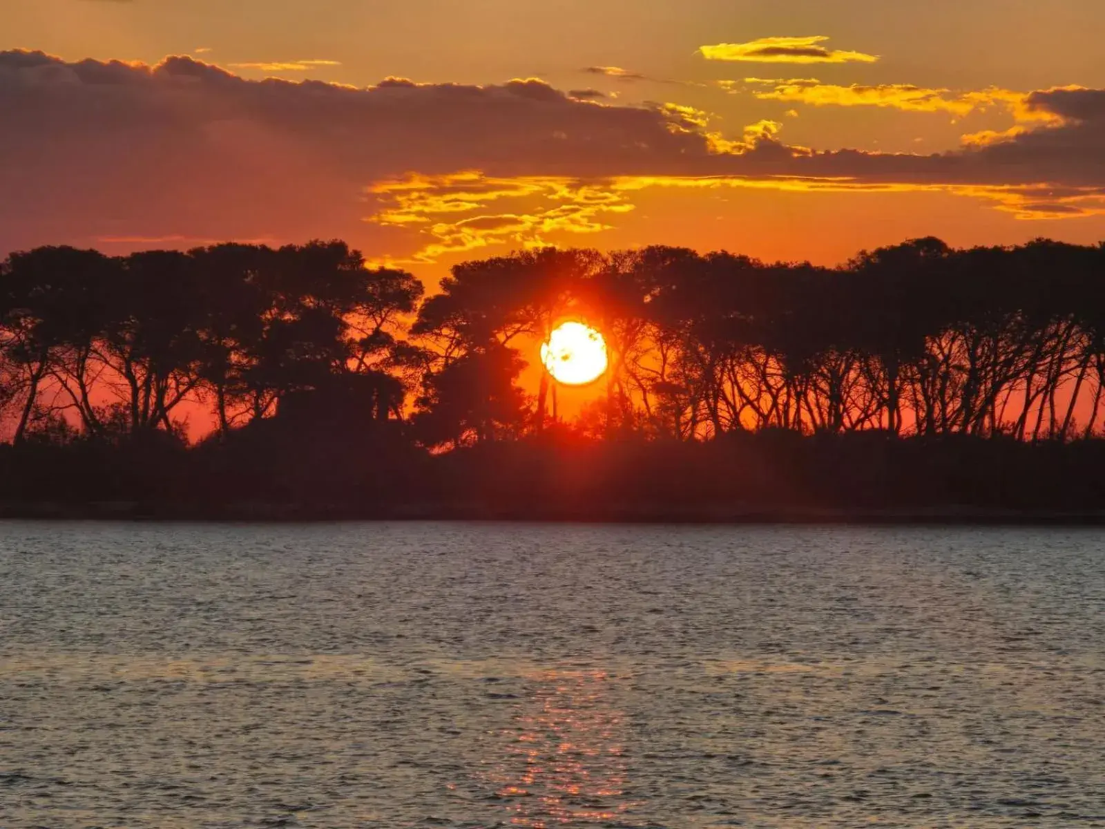 Studio Apartment with Balcony - single occupancy in ALG Apartments con Parcheggio Studio Apartment with Balcony - single occupancy in ALG Apartments con Parcheggio