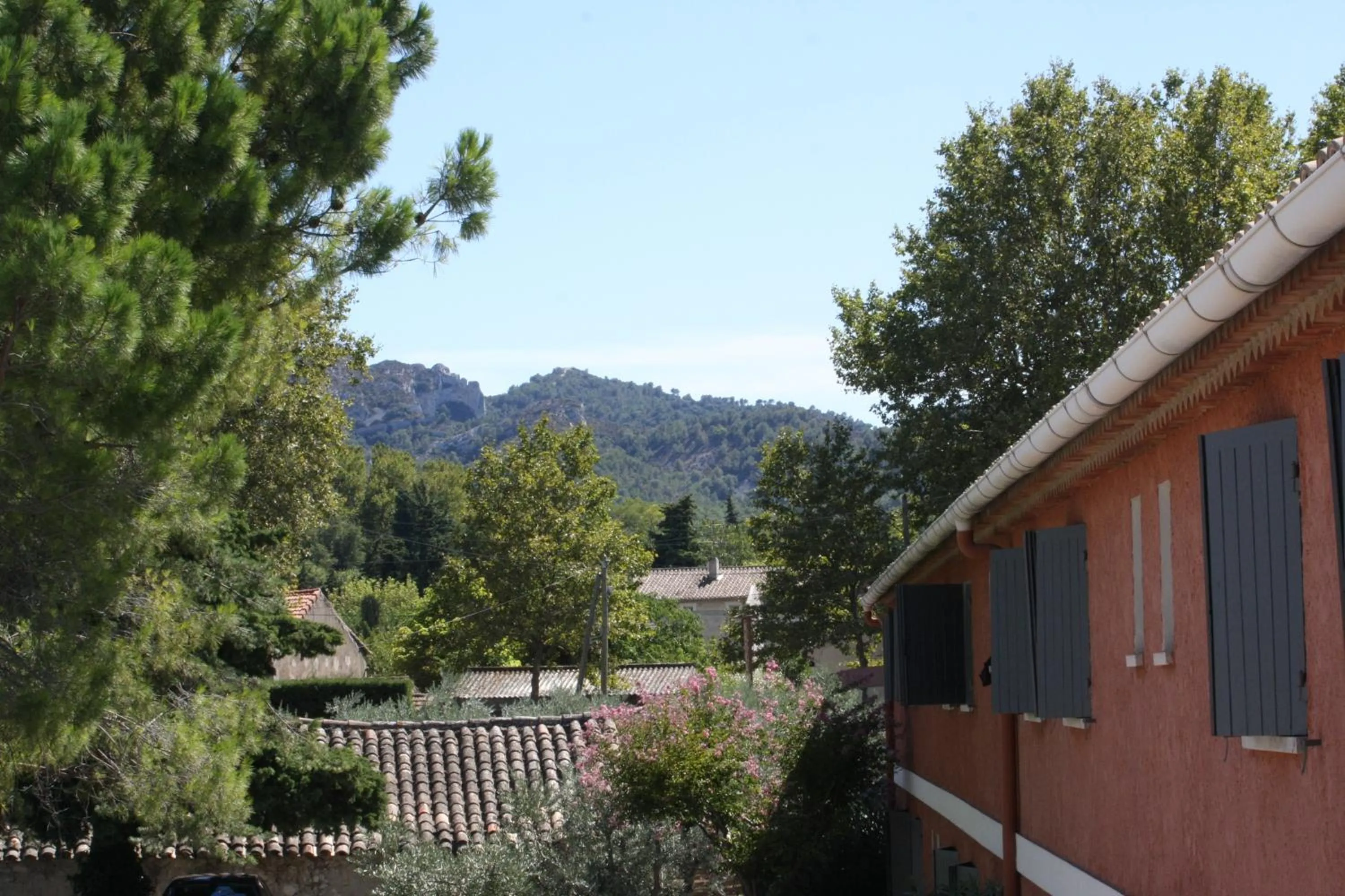 Natural landscape in Hotel Van Gogh