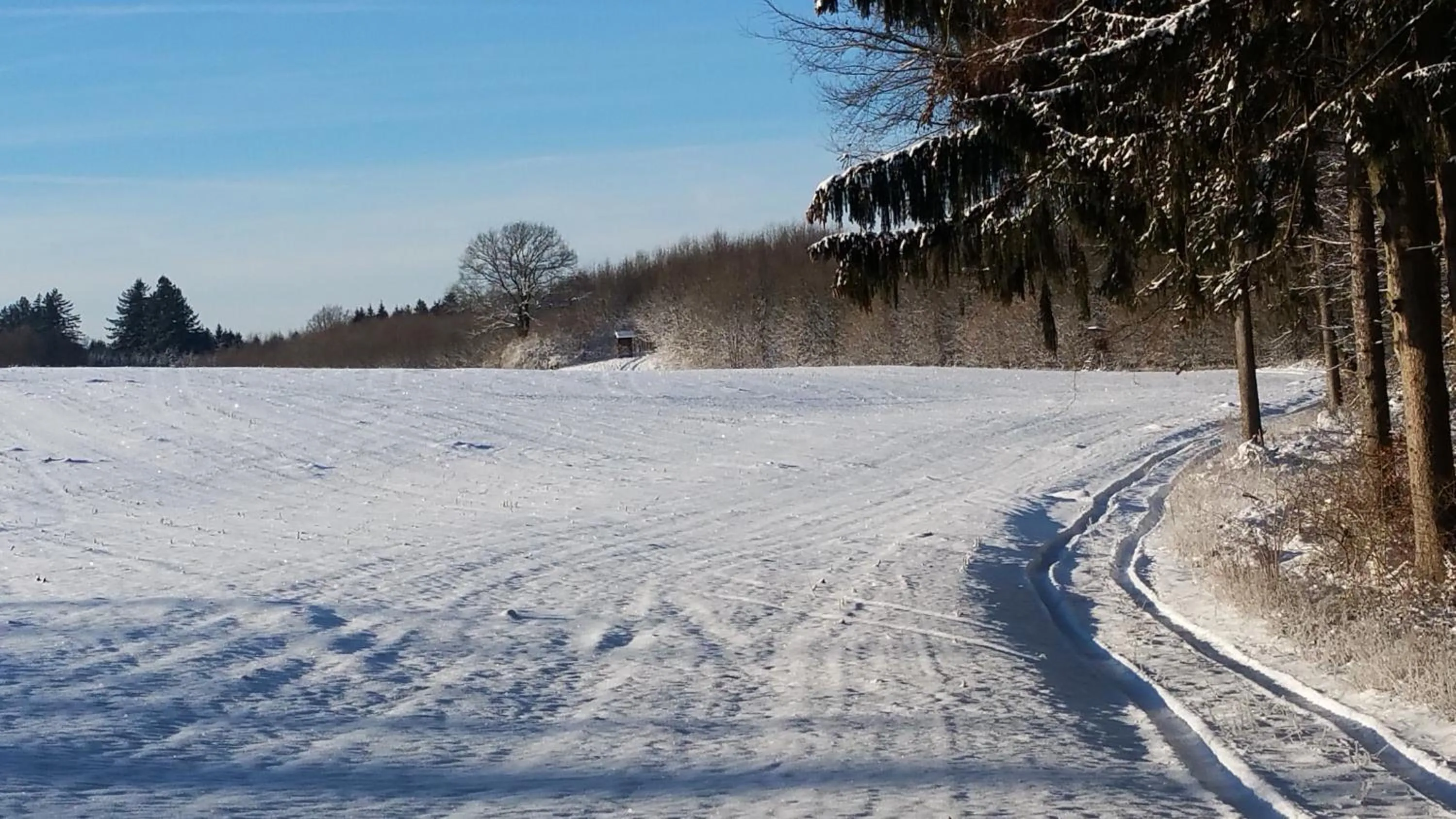 Skiing in Adam & Eva Gasthof Paradies mit Hotel