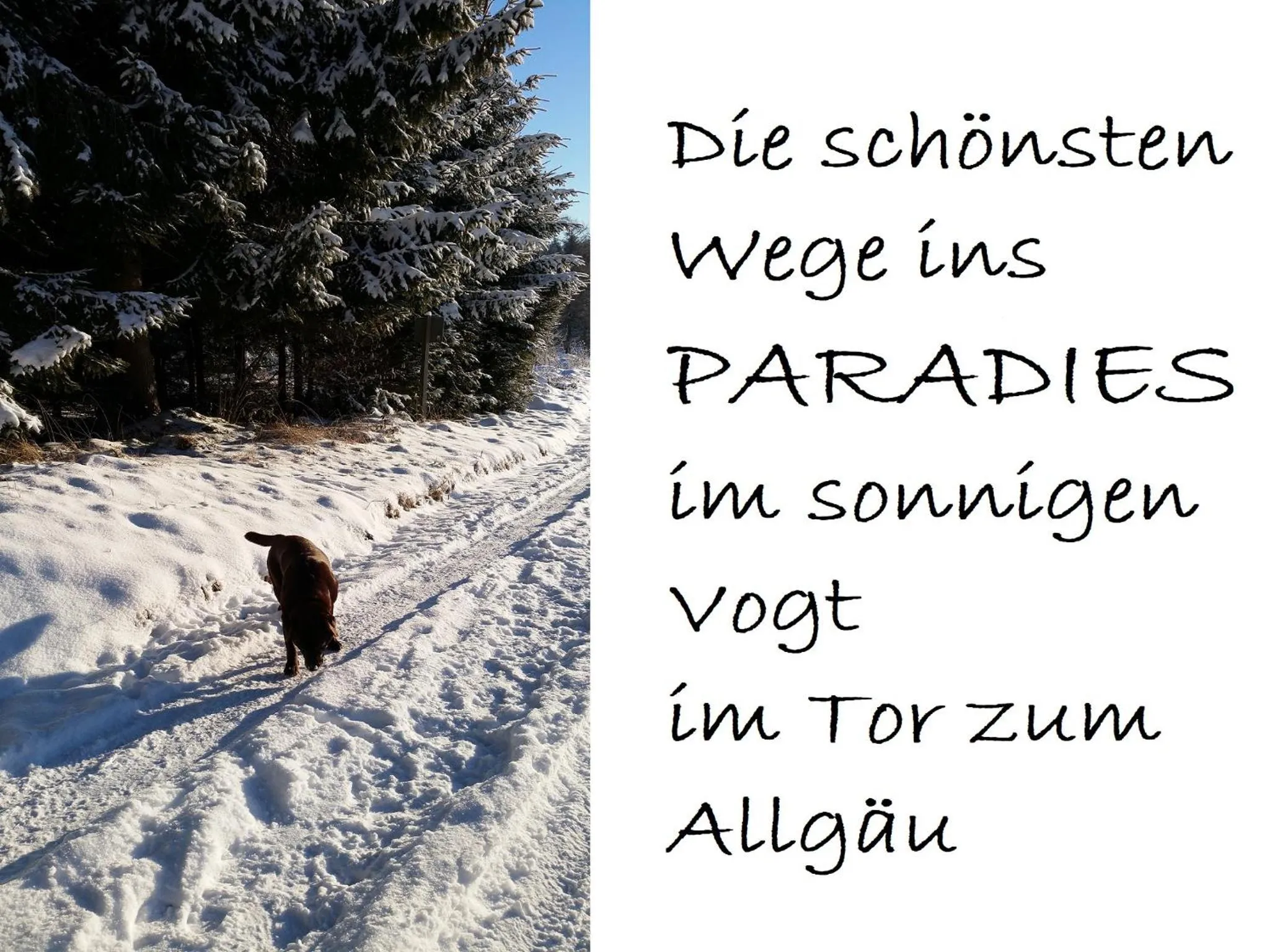 Winter in Adam & Eva Gasthof Paradies mit Hotel