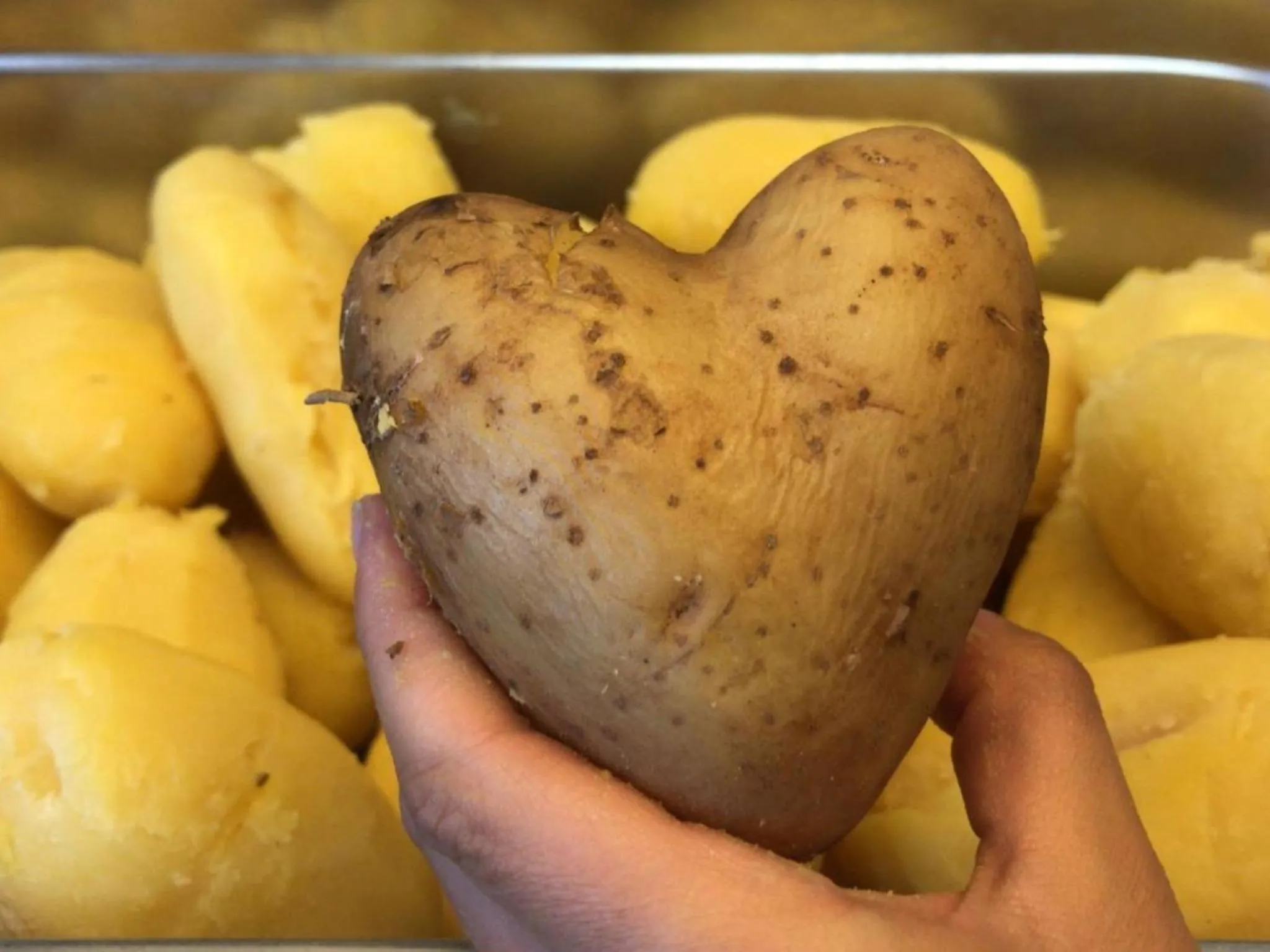 Food and drinks in Adam & Eva Gasthof Paradies mit Hotel