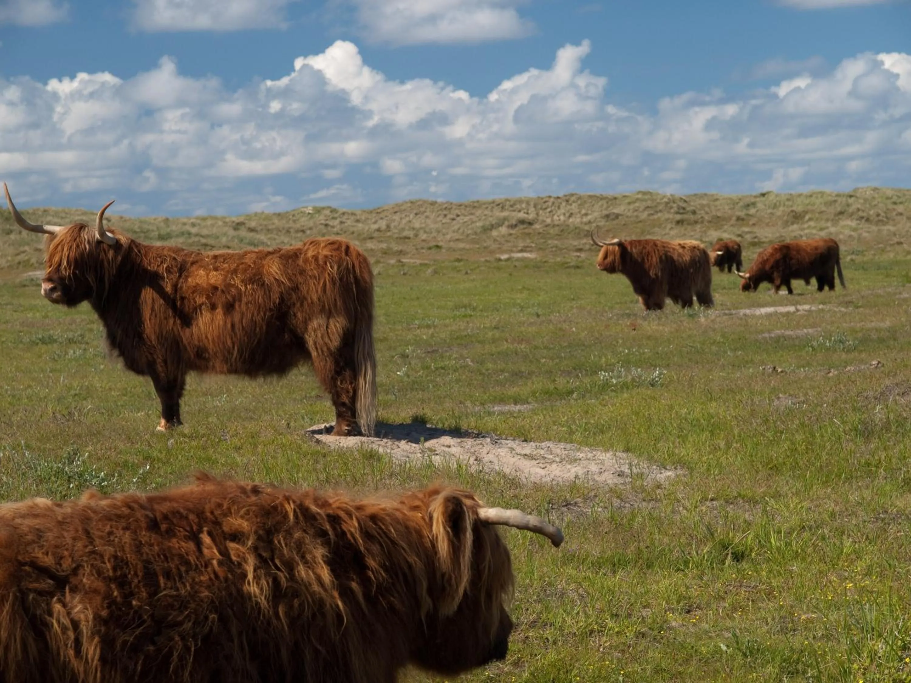 Area and facilities in WestCord Strandhotel Seeduyn