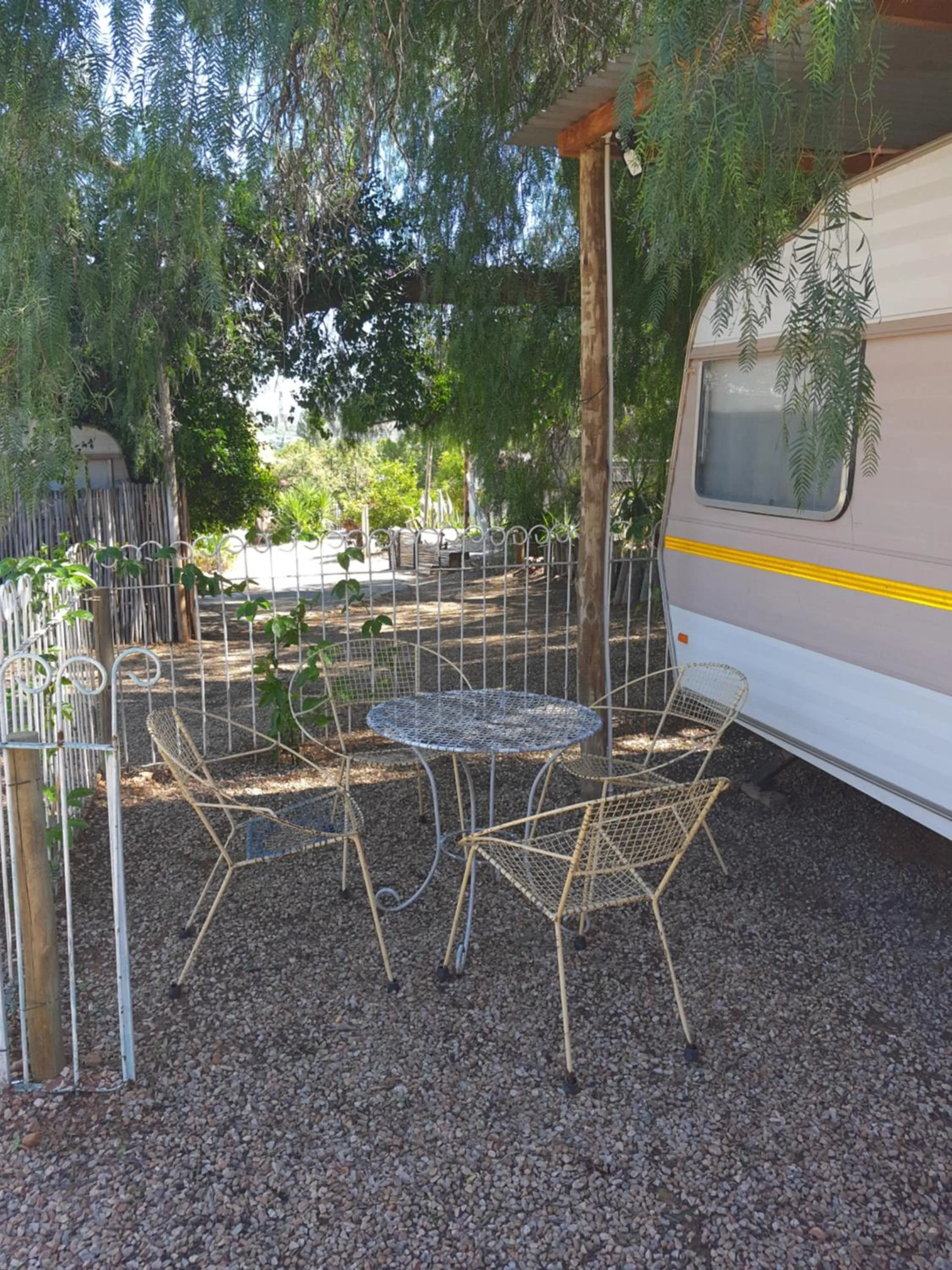 Garden in Oasis Shanti Backpackers