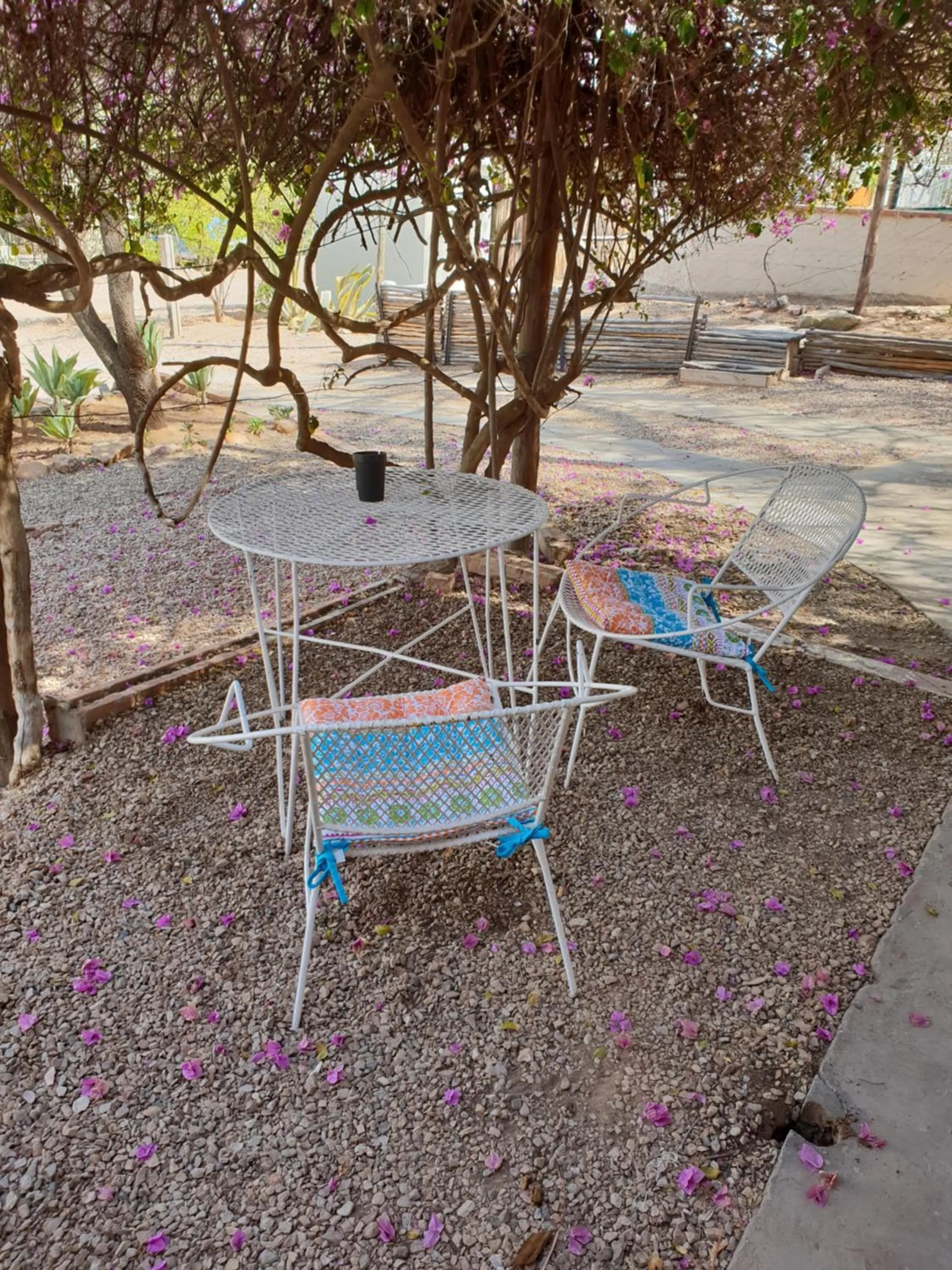 Balcony/Terrace in Oasis Shanti Backpackers