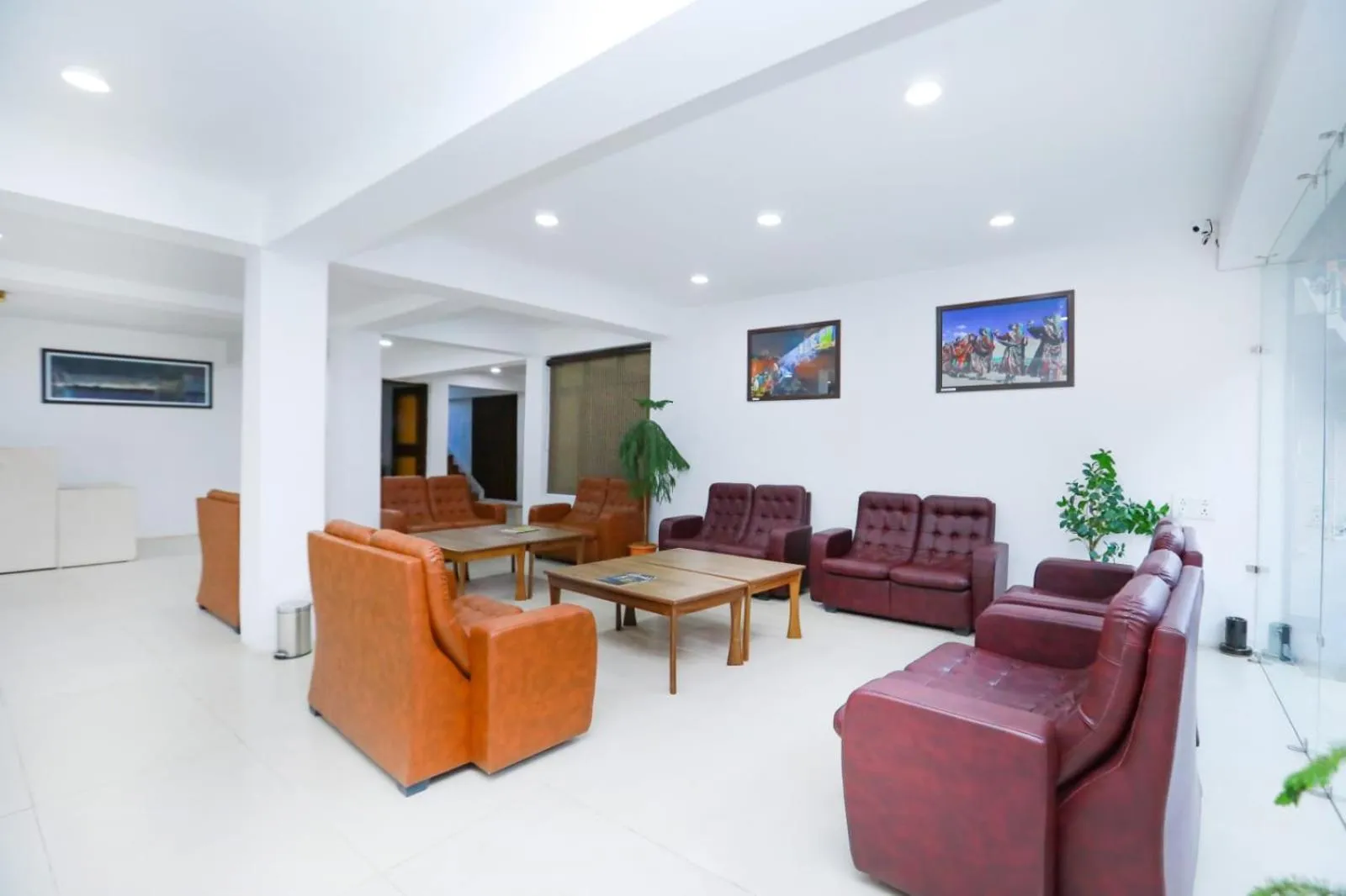 TV and multimedia in Hotel Sky Desert - Leh Ladakh UT