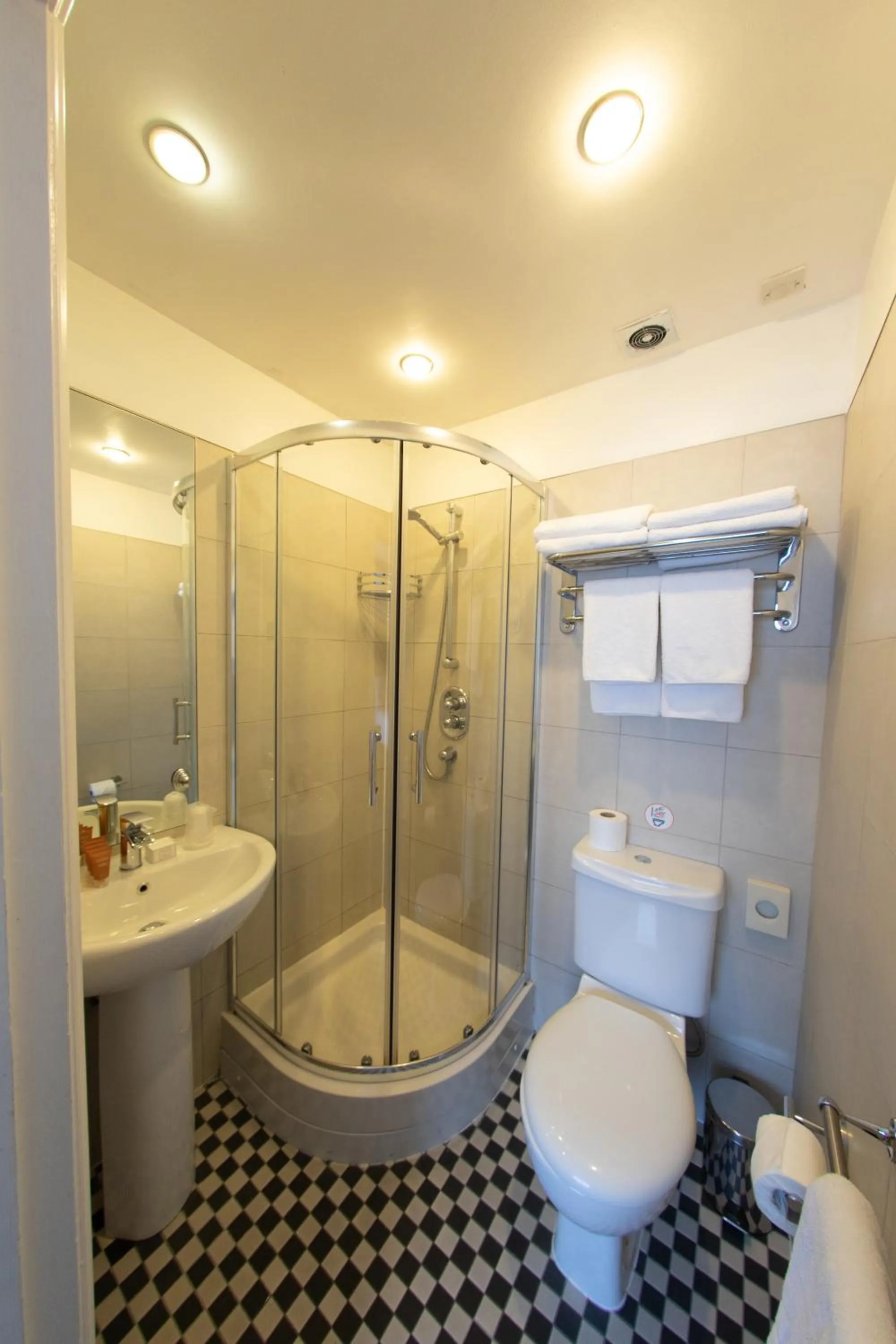 Shower in Duke Of Leinster Hotel