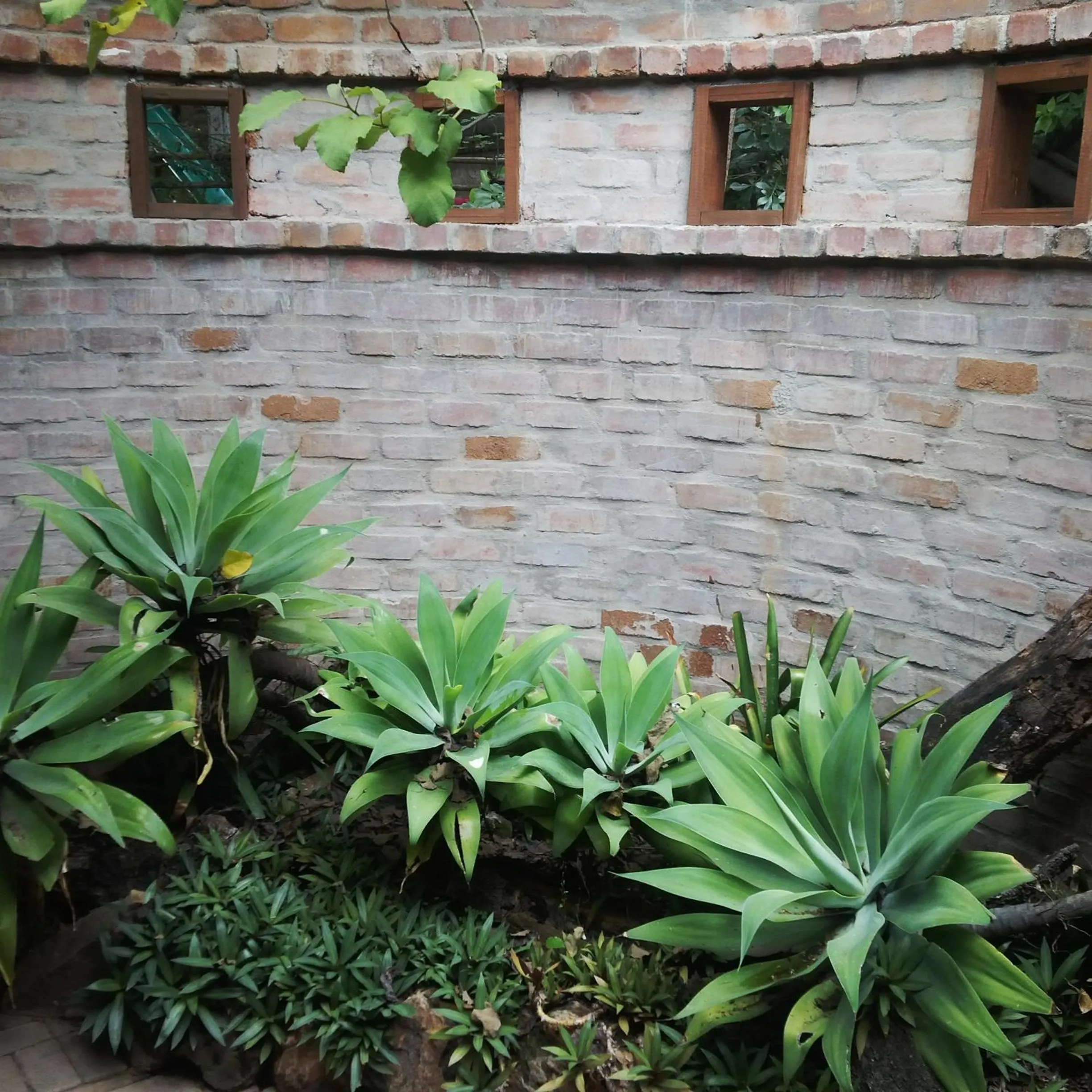 Garden in Zebrina Guest House