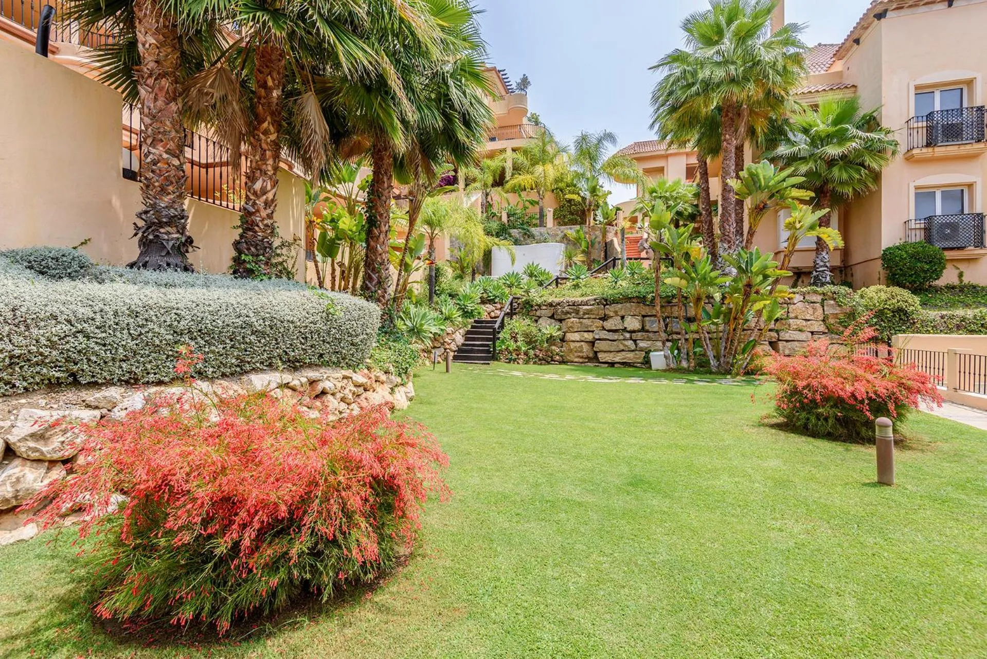 Garden in Alcam Aloha Deluxe 42