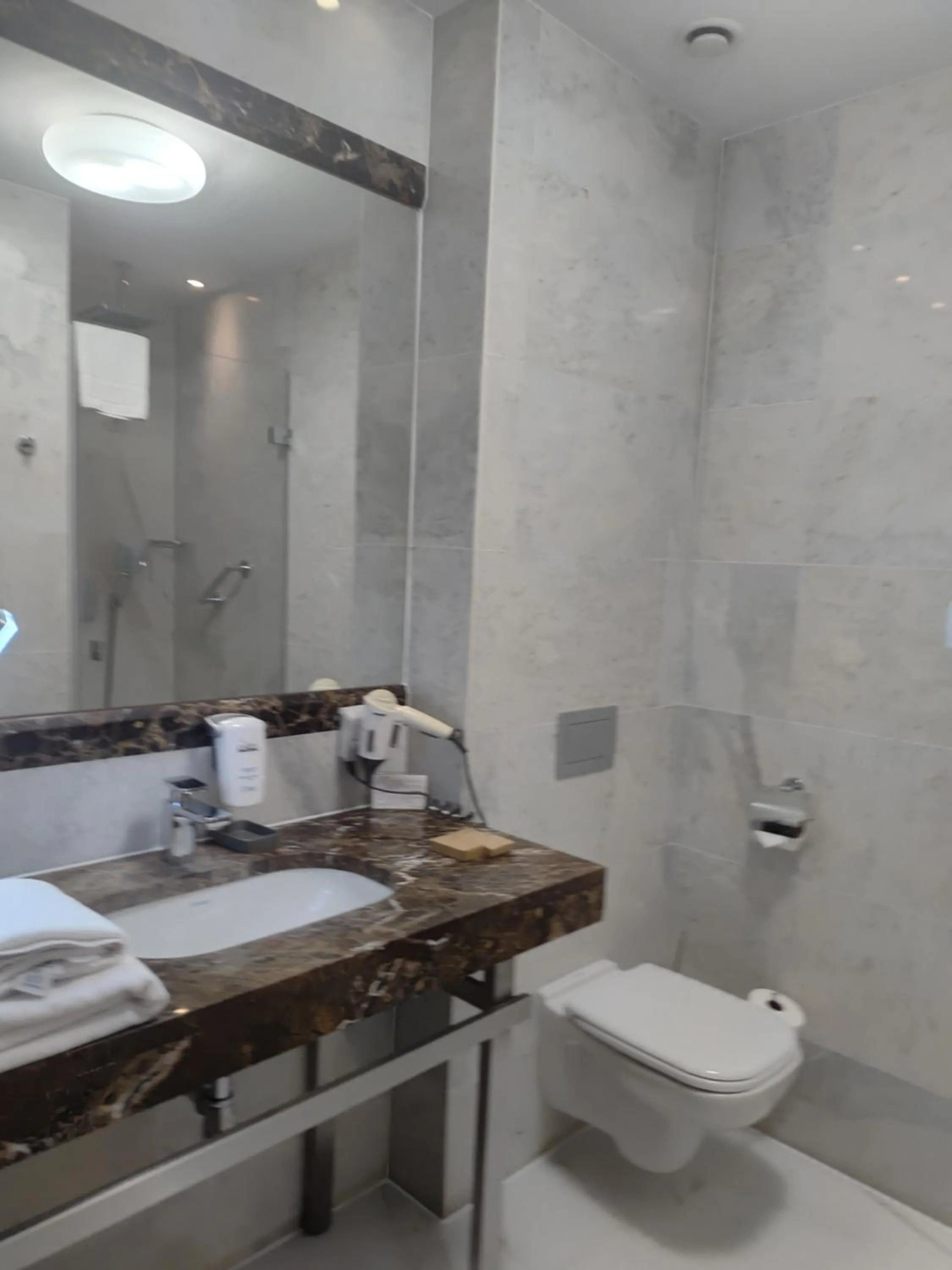 Toilet in Hotel Zamek Centrum