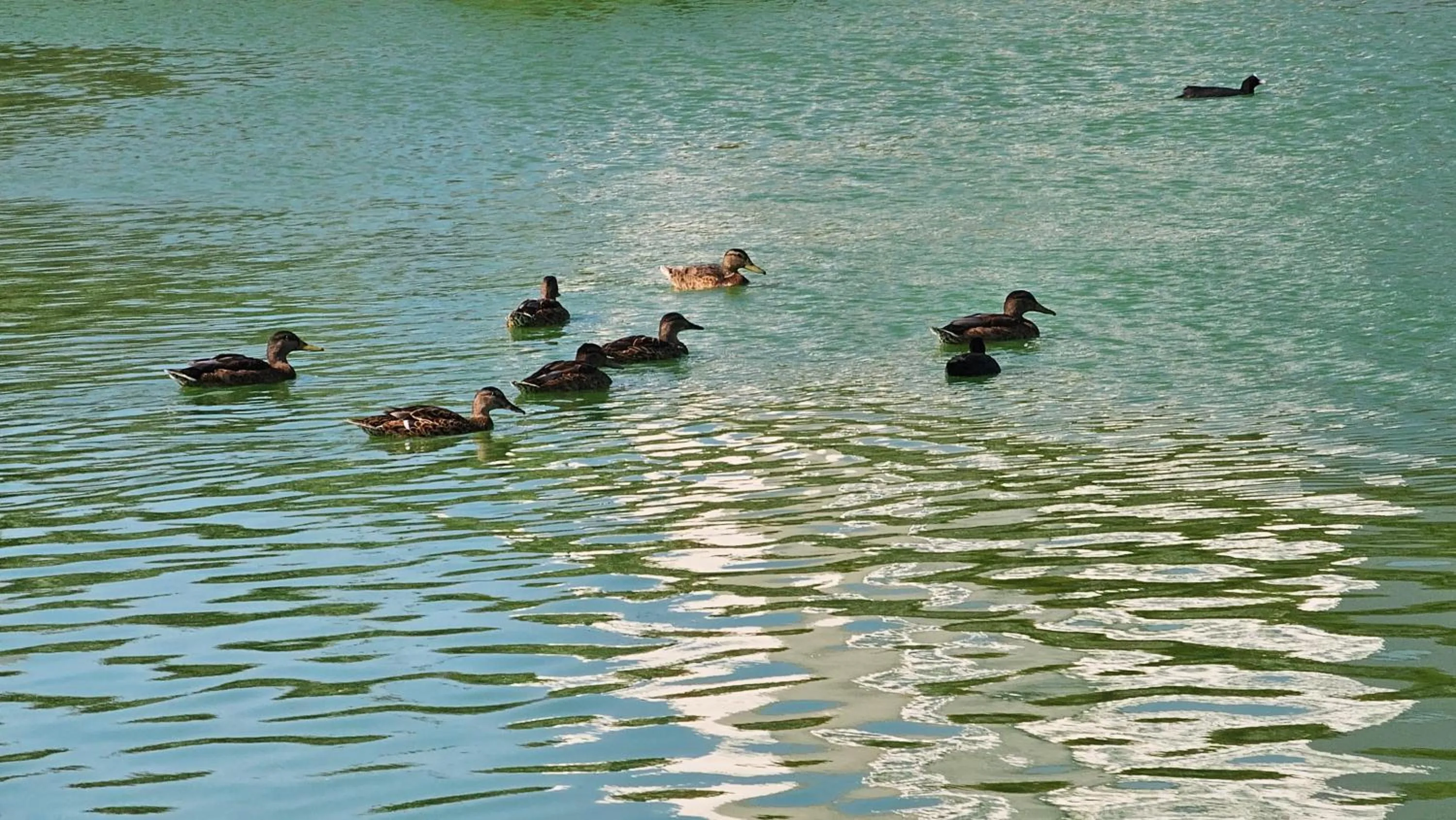 Dorana Hotel Lefkoşa