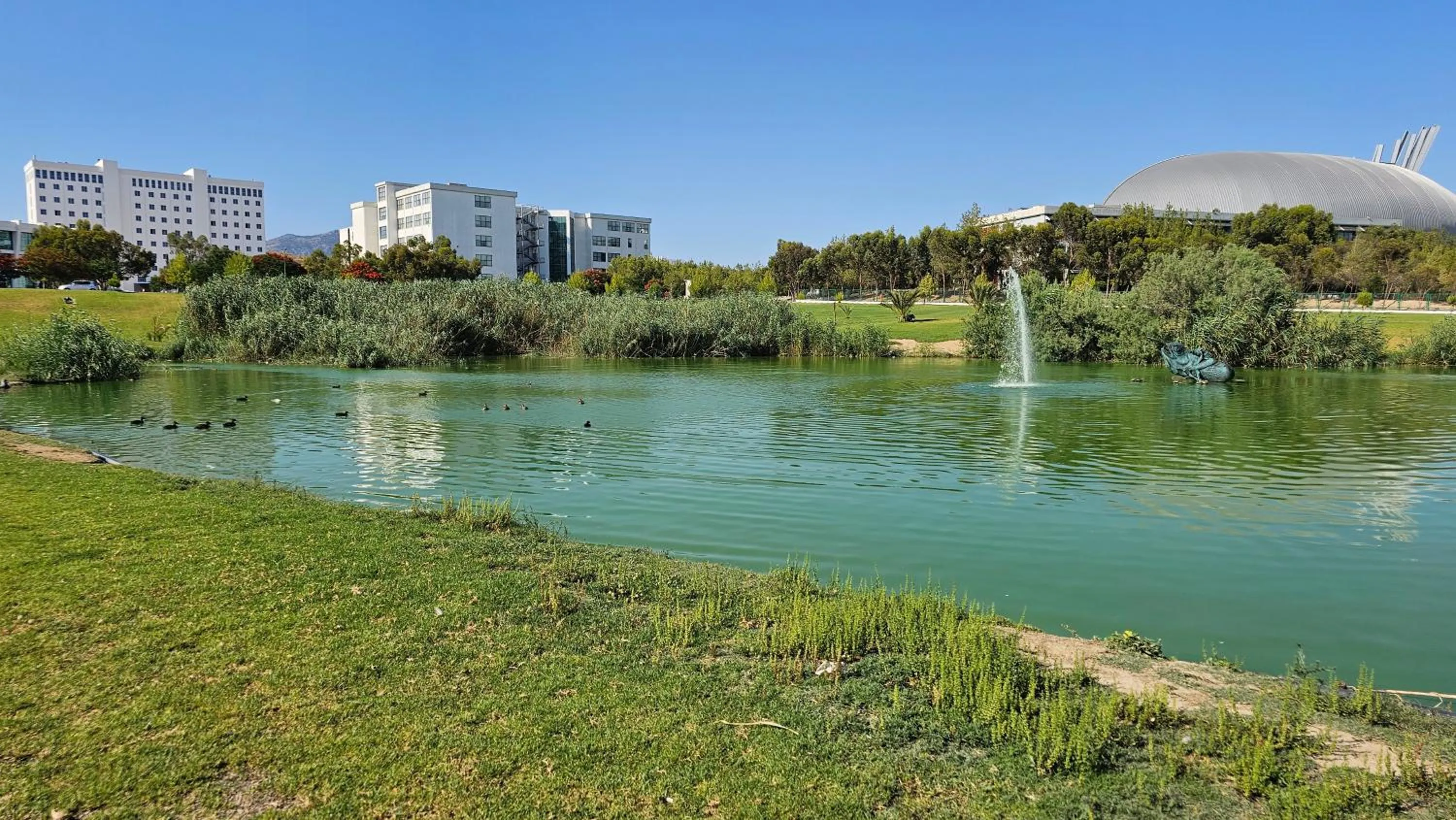 Dorana Hotel Lefkoşa