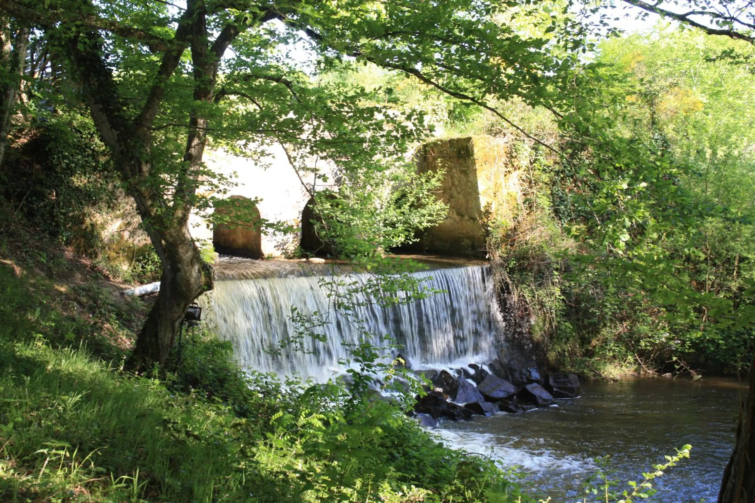 Garden in Le Tronçais