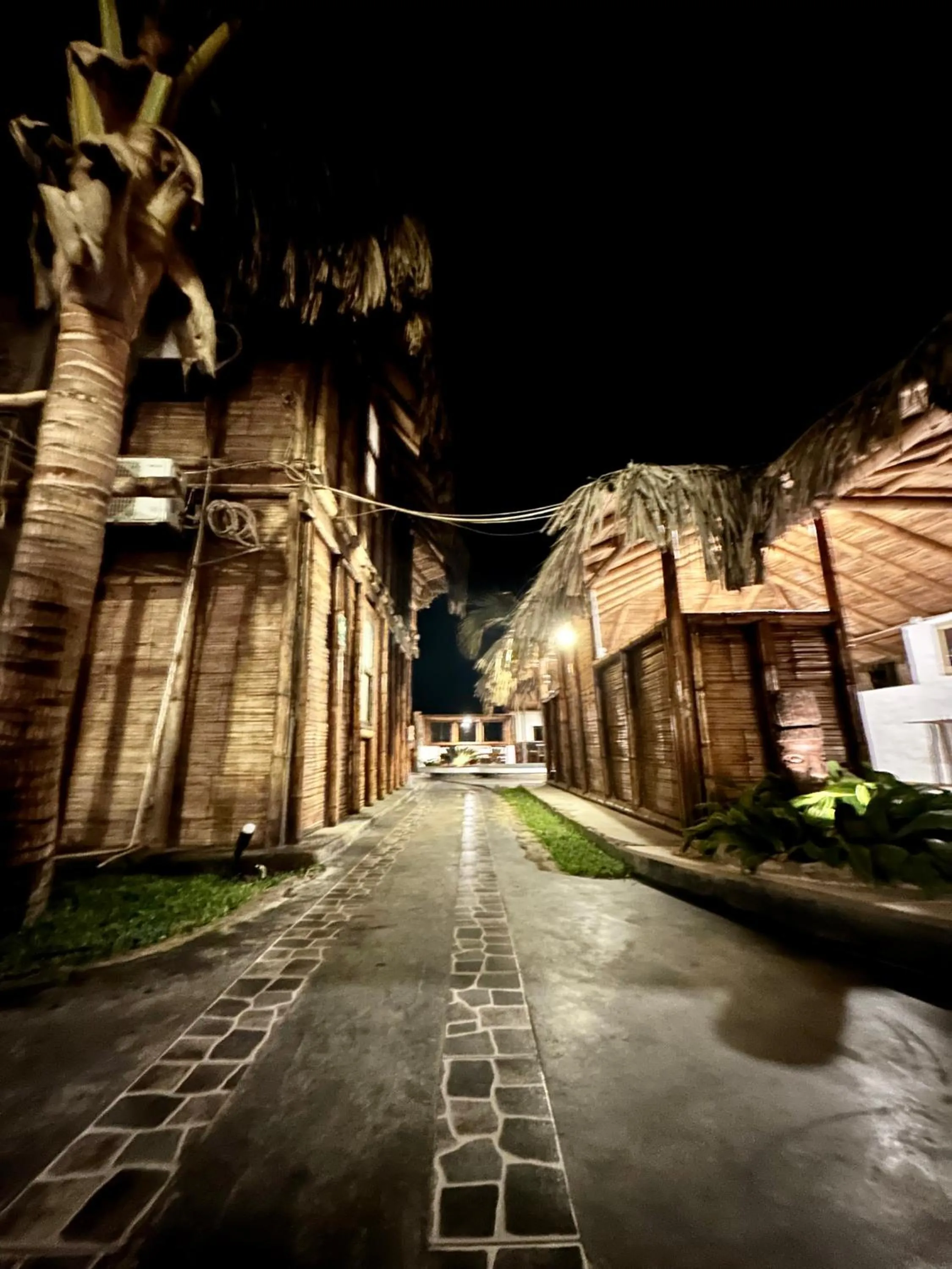 Night in Hotel Puerto Antiguo