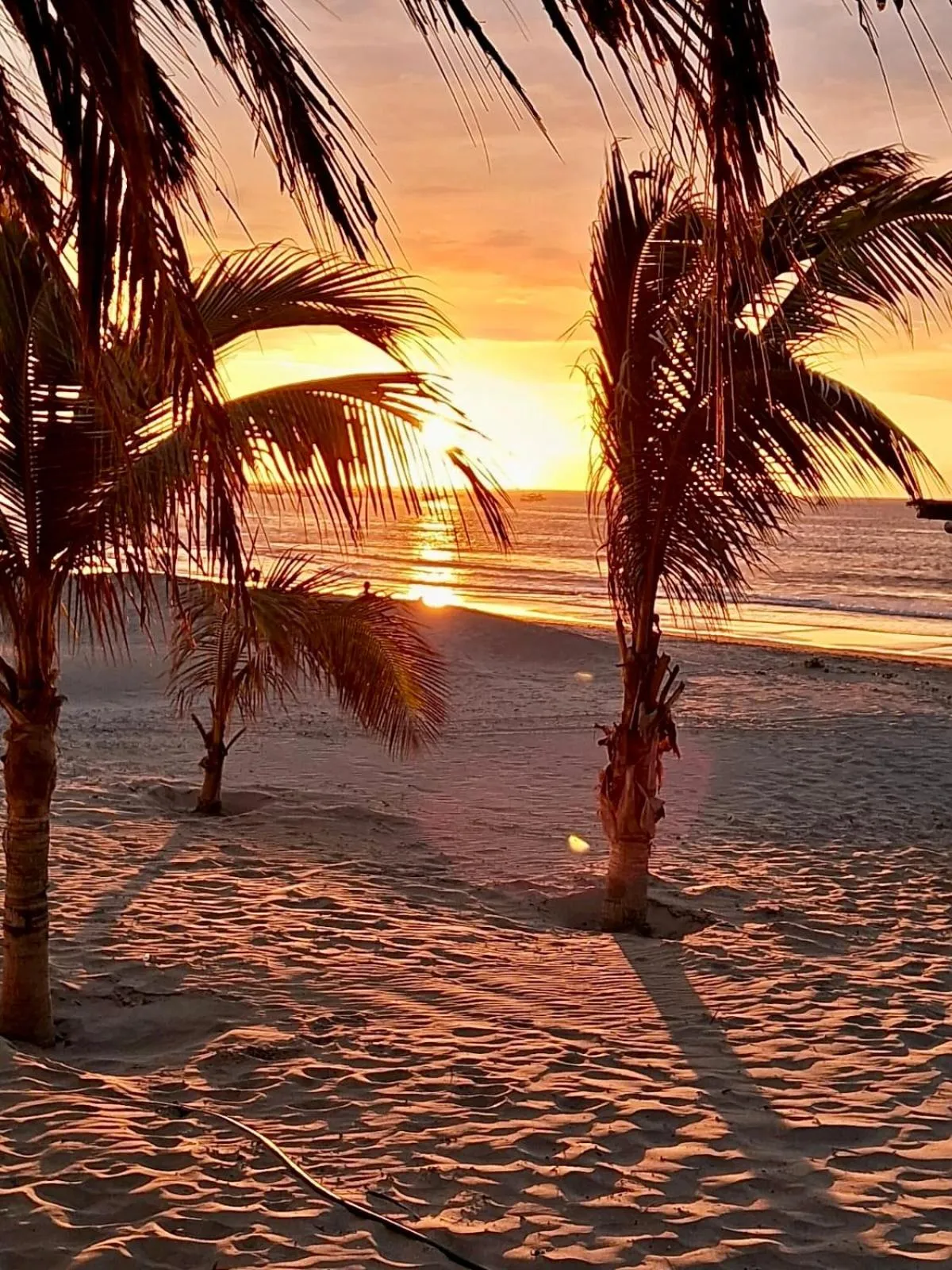 Beach in Hotel Puerto Antiguo