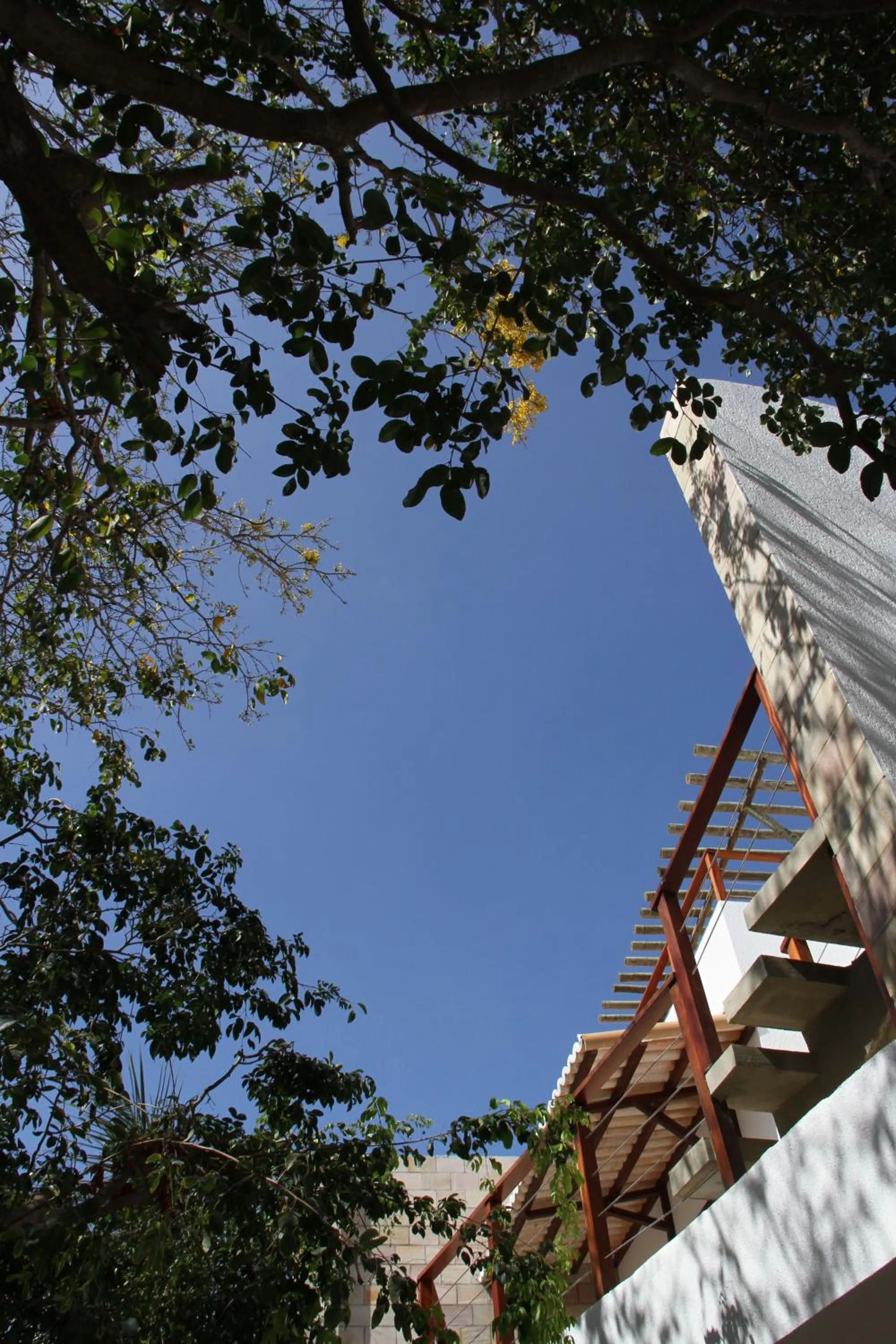 Day in Indulge and Relax Apartment