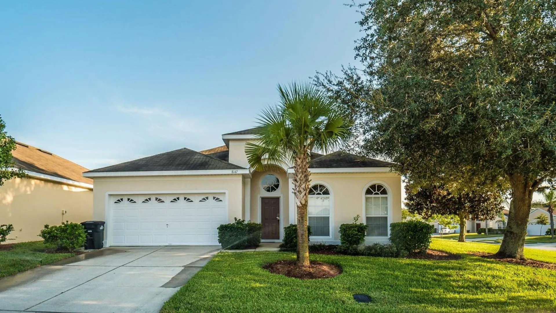 8147 Fan Palm