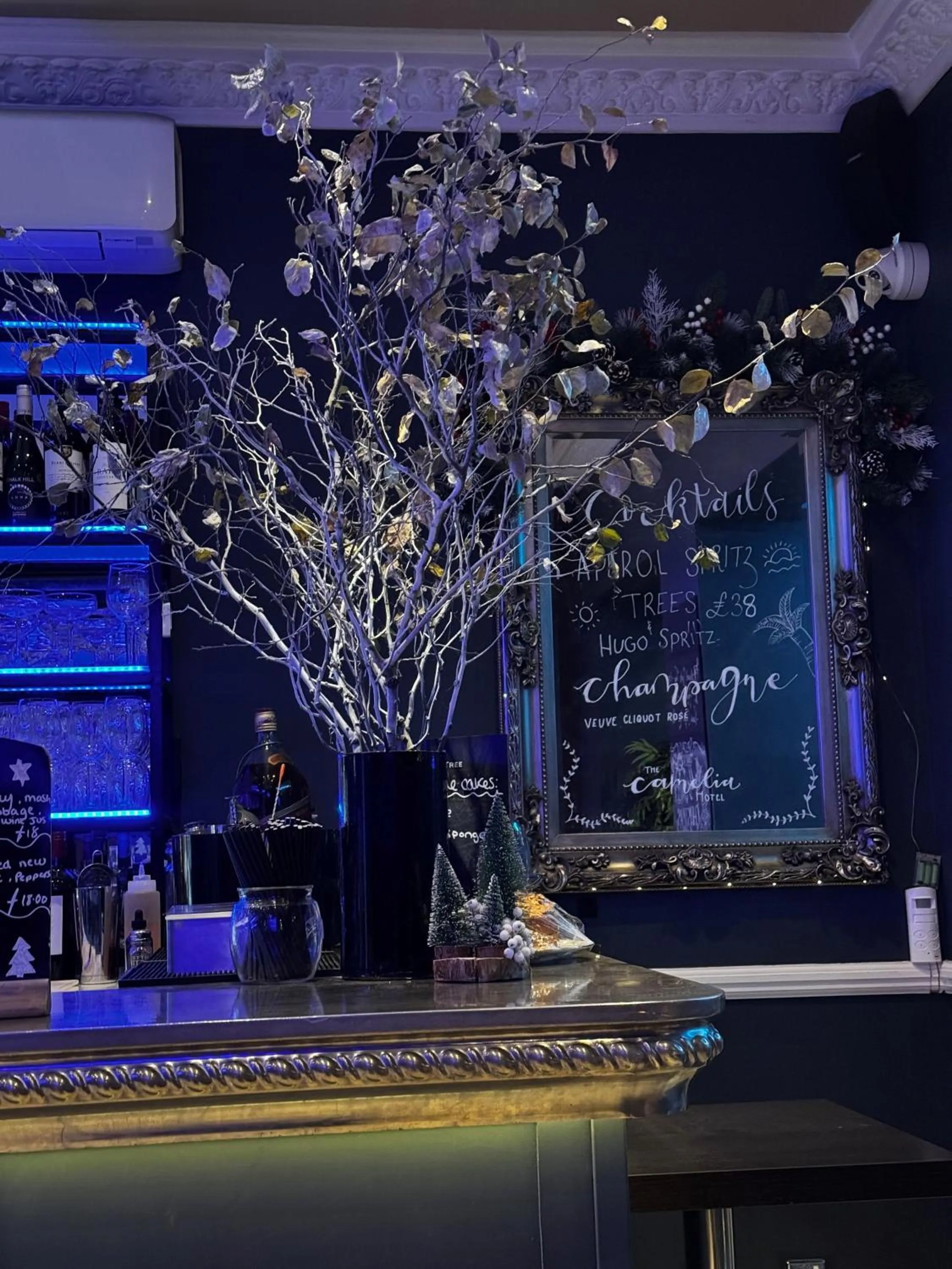 Lounge or bar in Camelia Hotel