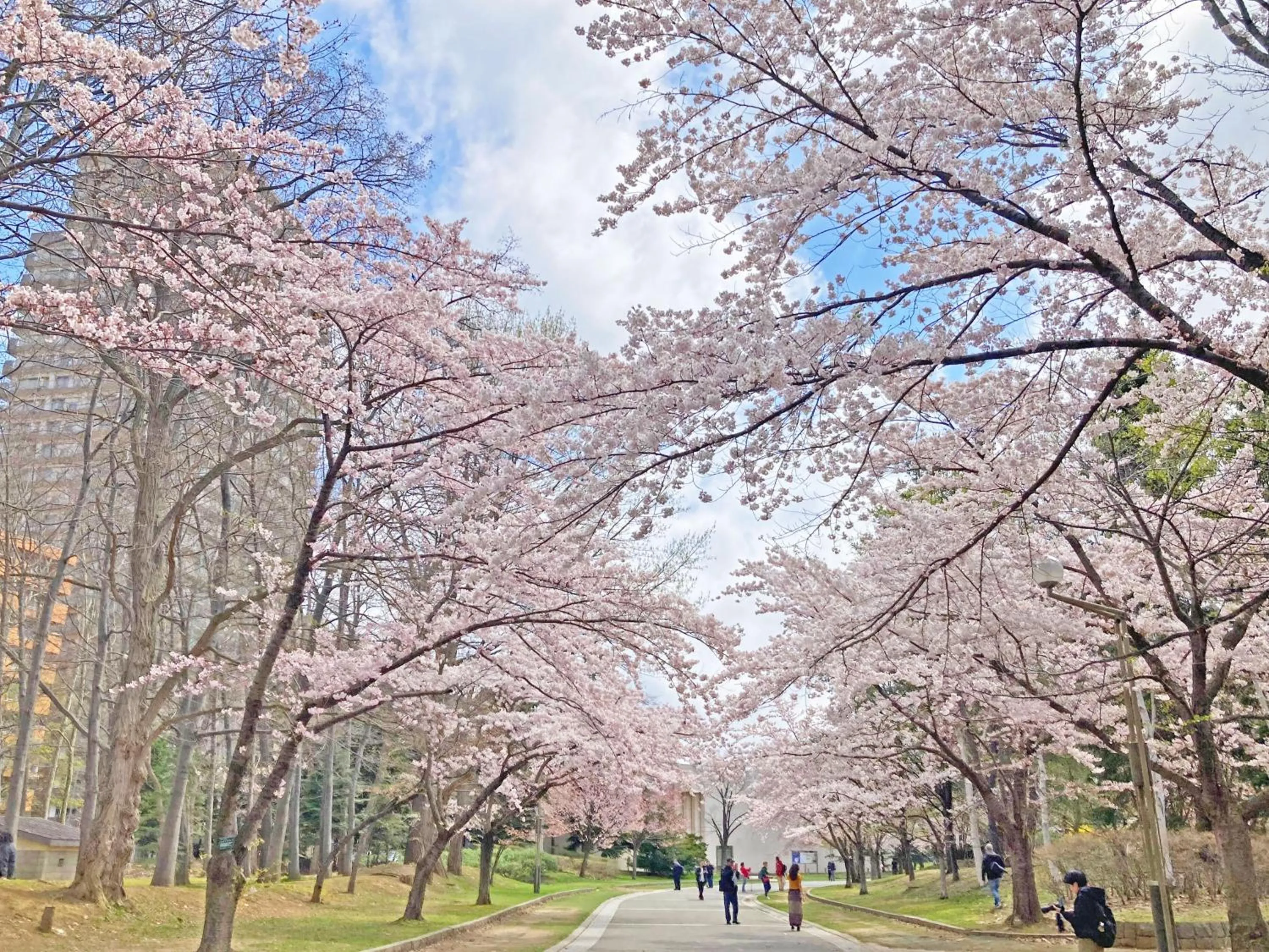 Off site in Hotel Lifort Sapporo