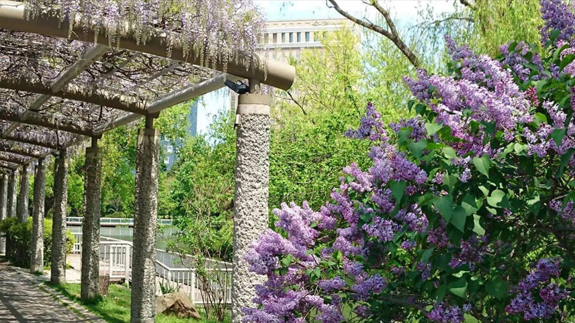 Off site in Hotel Lifort Sapporo