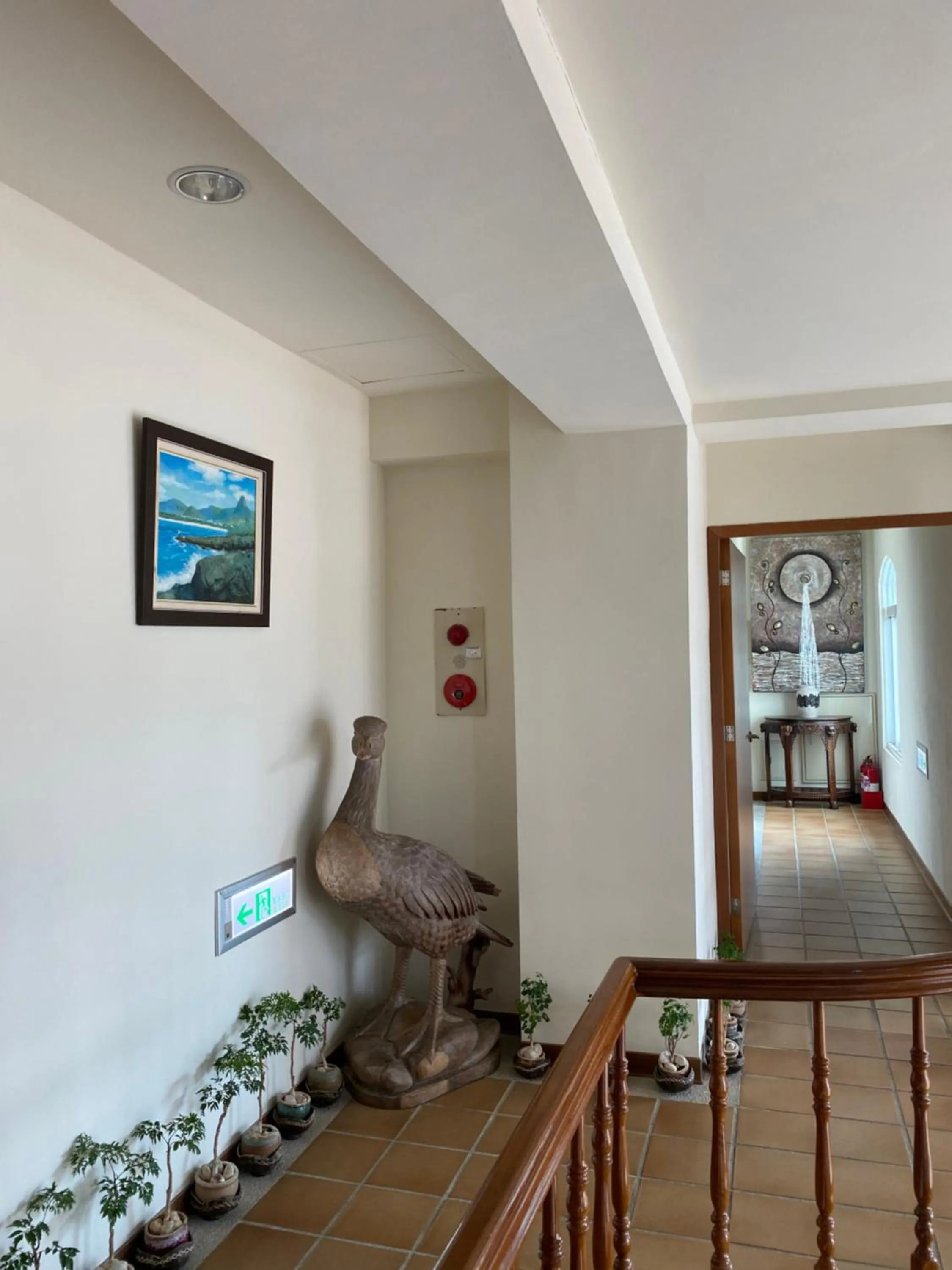 Seating area in Mamalulu Hostel