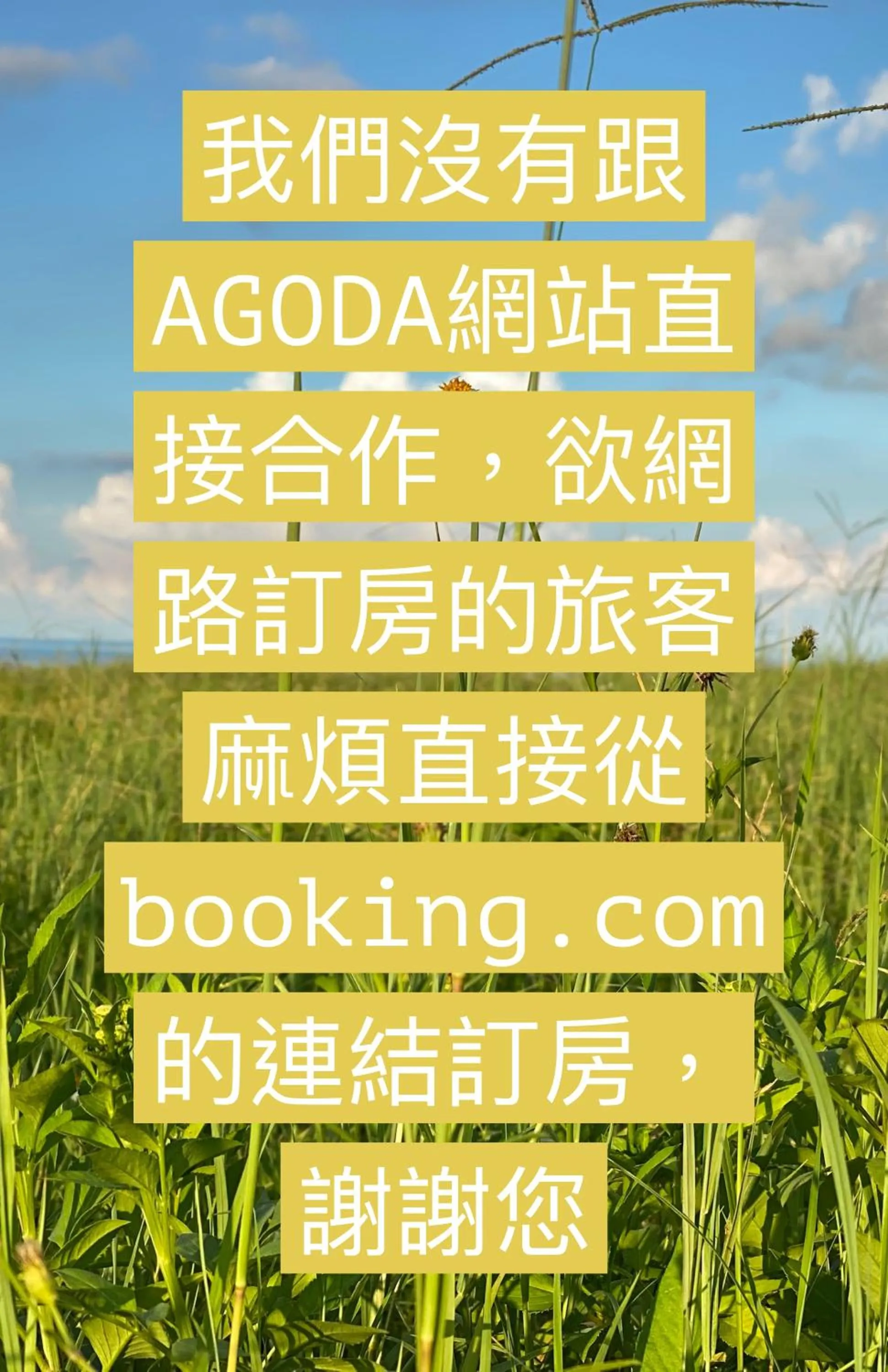 Text overlay in Mamalulu Hostel