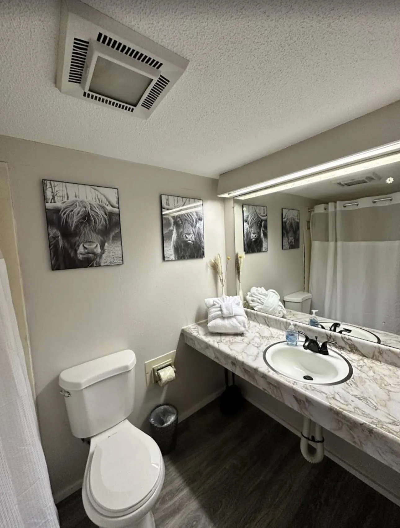 Bathroom in Timber Ridge Lodge Gatlinburg