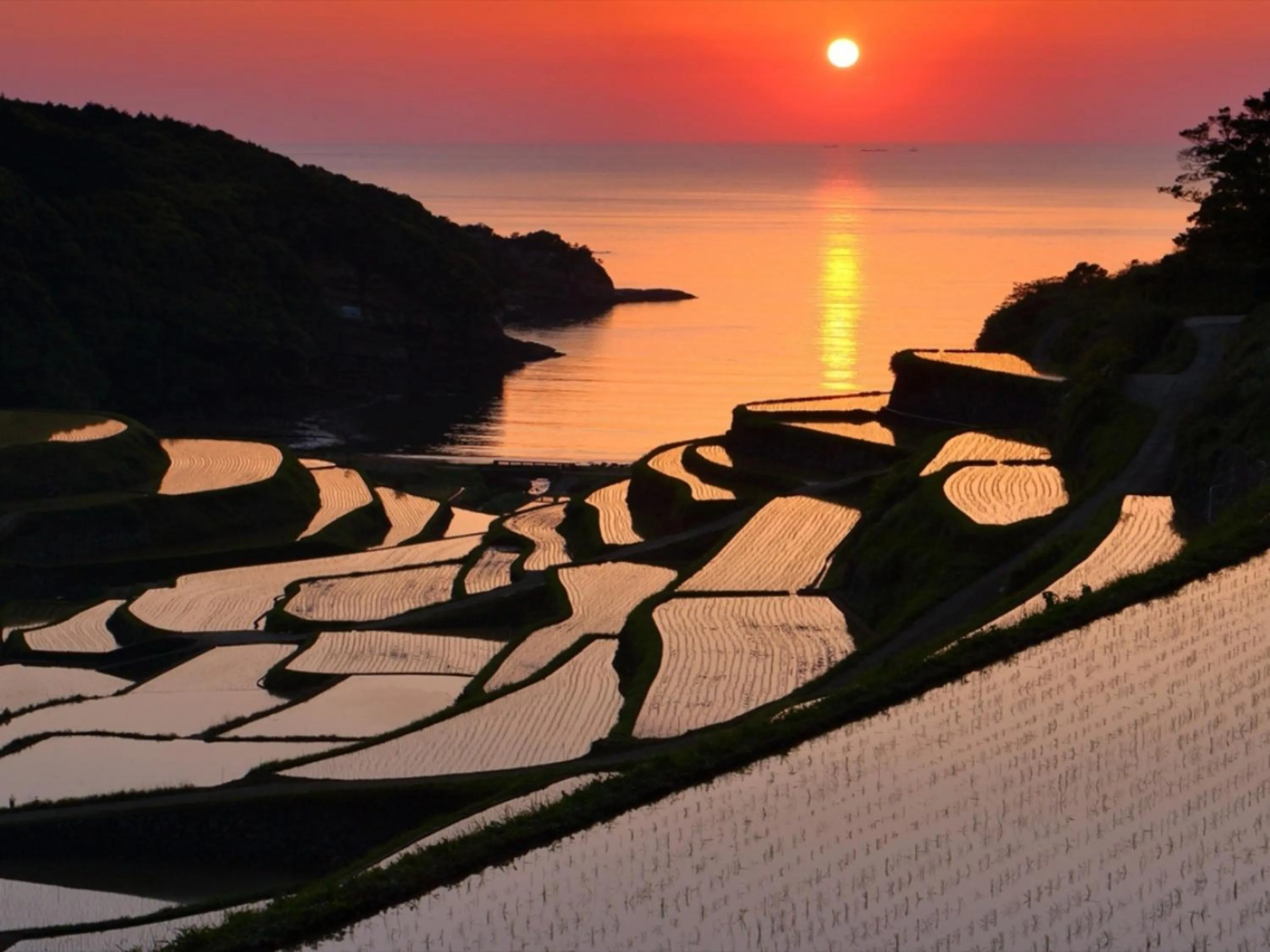 Nearby landmark in Hotel New Otani Saga