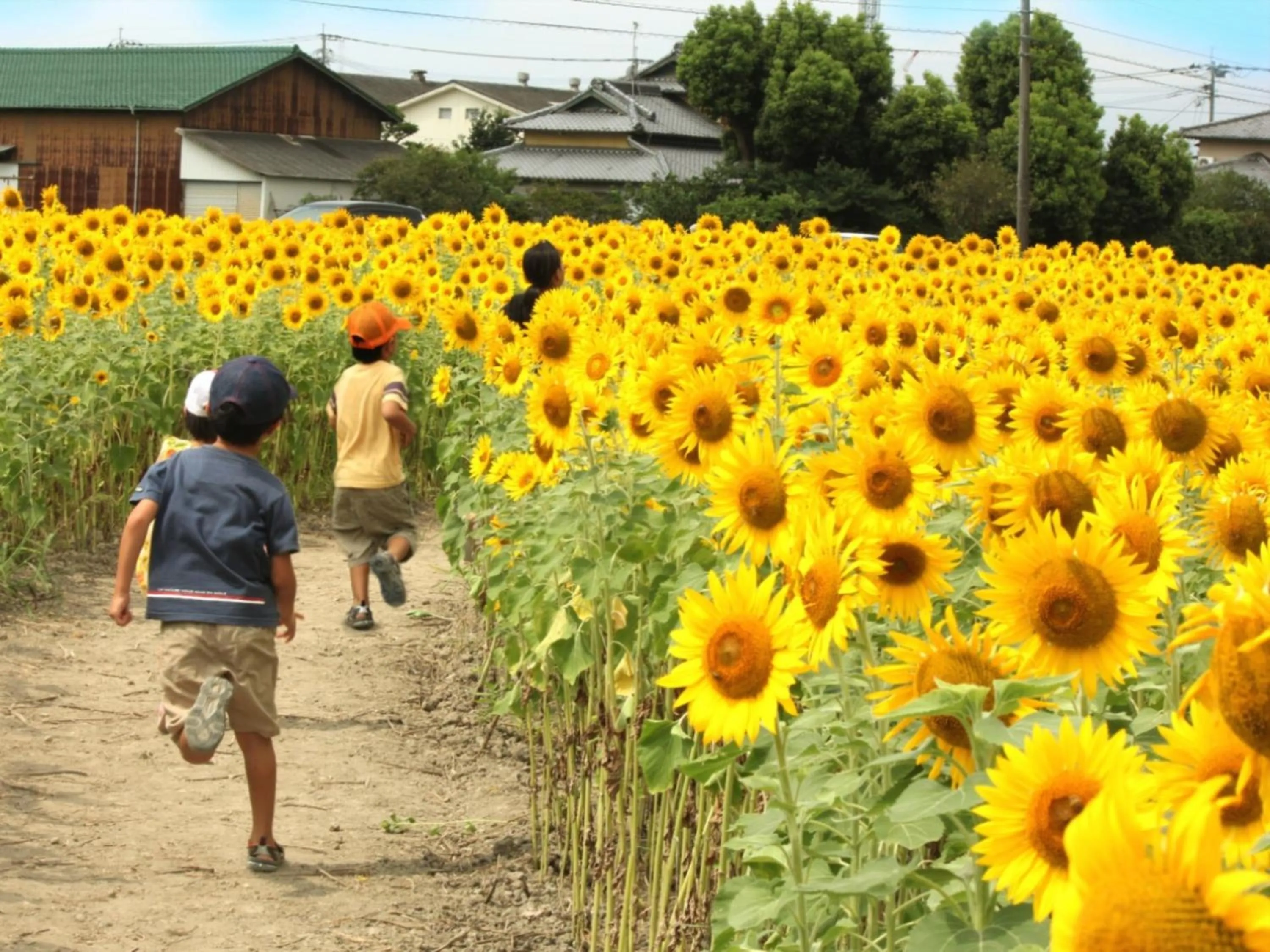 Nearby landmark in Hotel New Otani Saga
