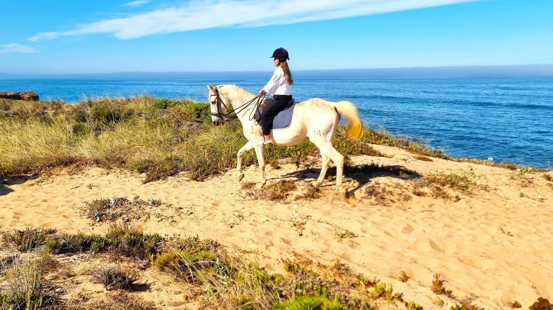 Activities in Herdade Moita Mar - Country & Sea