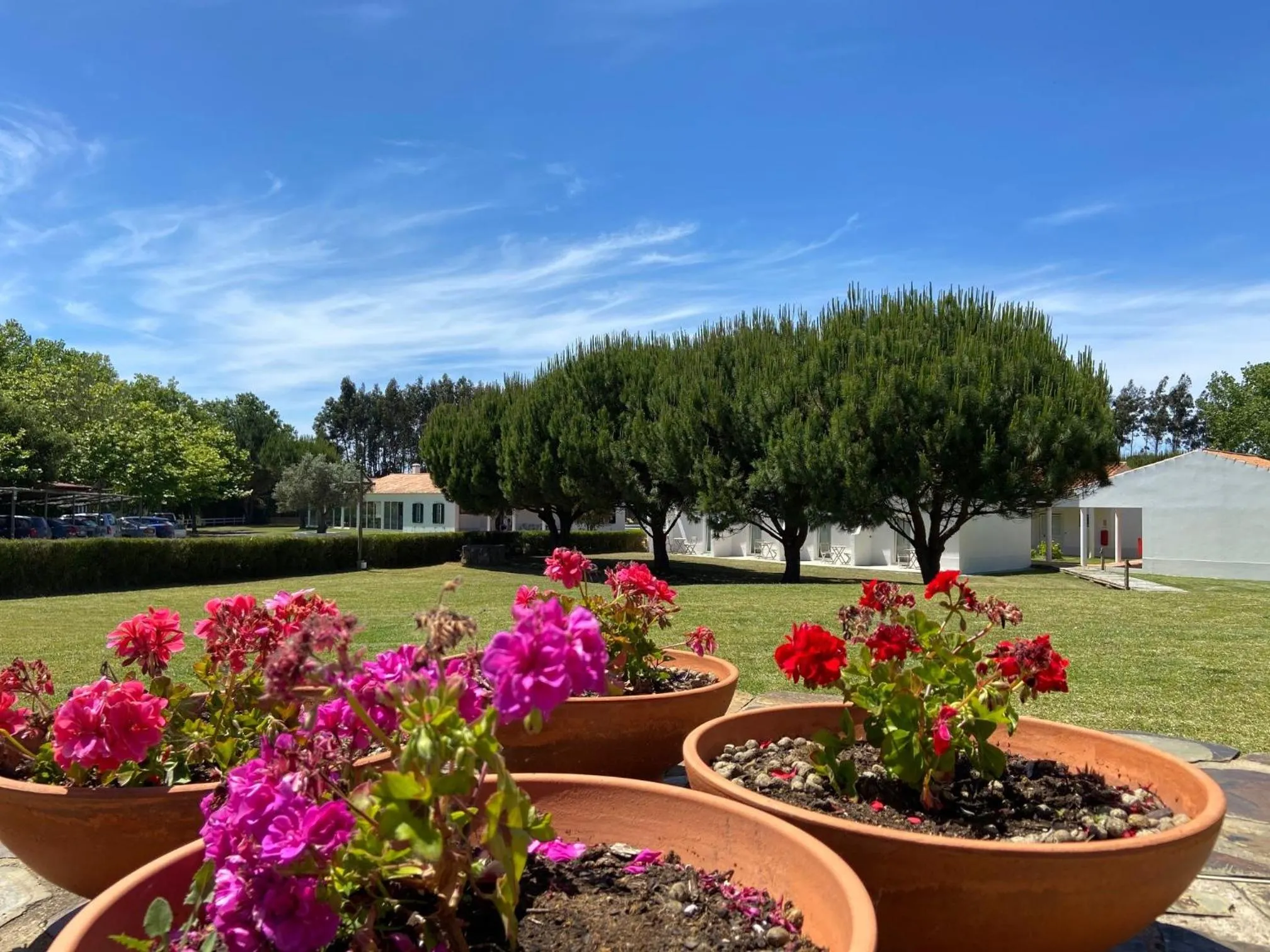 Garden in Herdade Moita Mar - Country & Sea