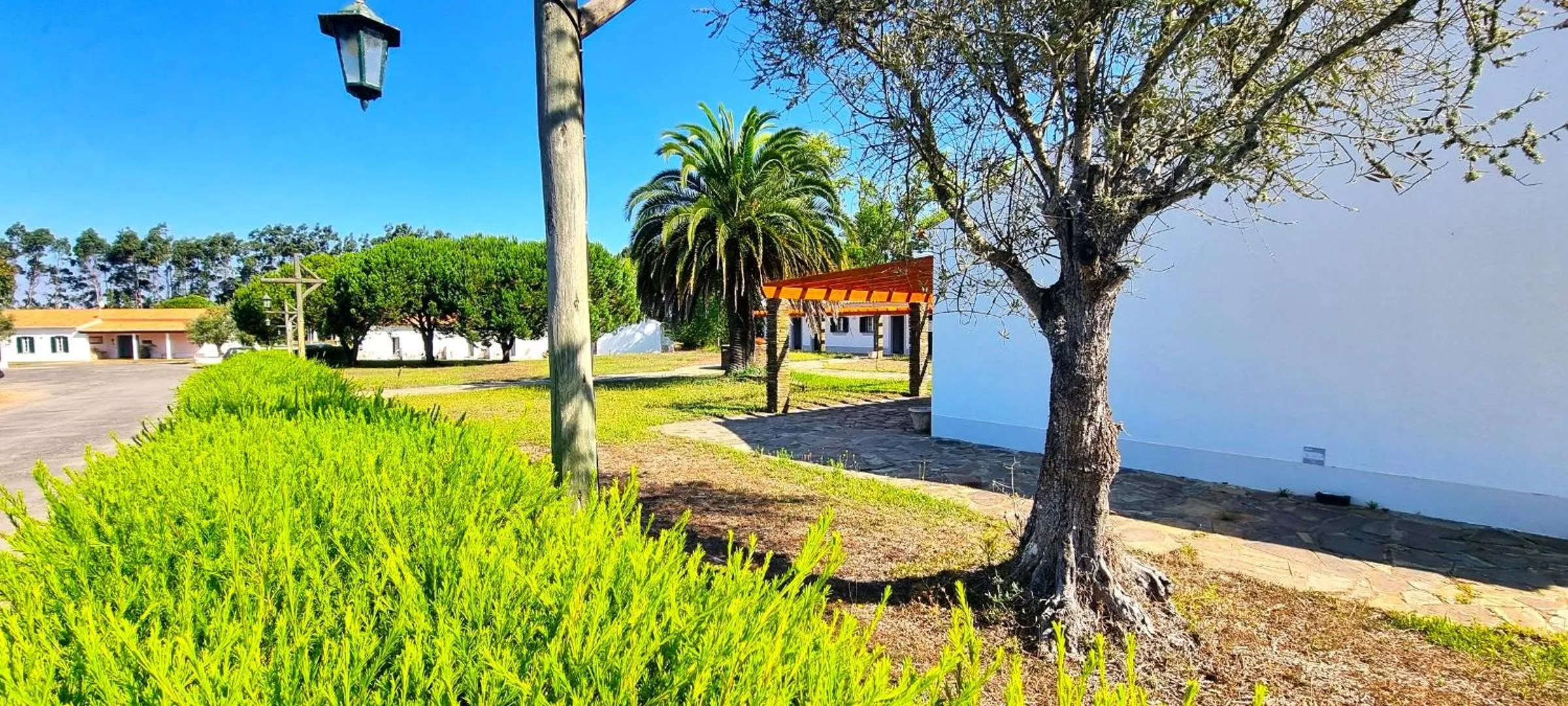 Garden in Herdade Moita Mar - Country & Sea