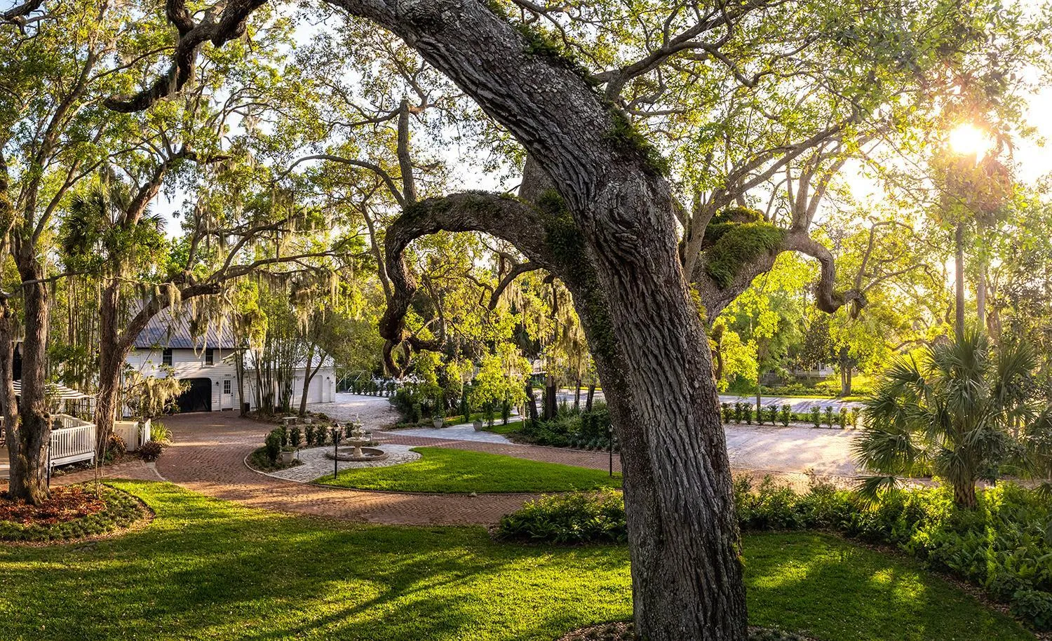 Garden in Victoria 1883