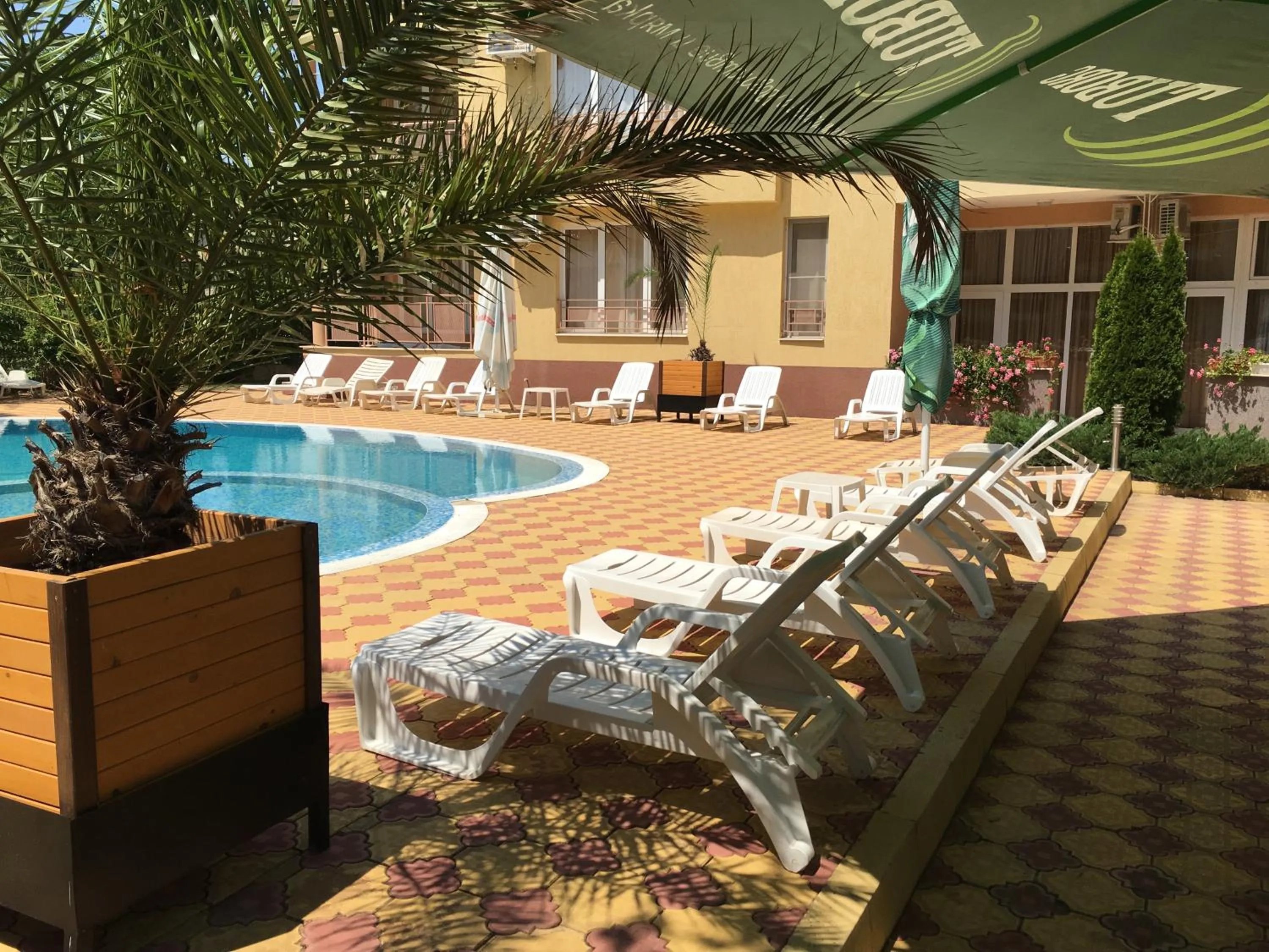 Swimming pool in Beatris Family House