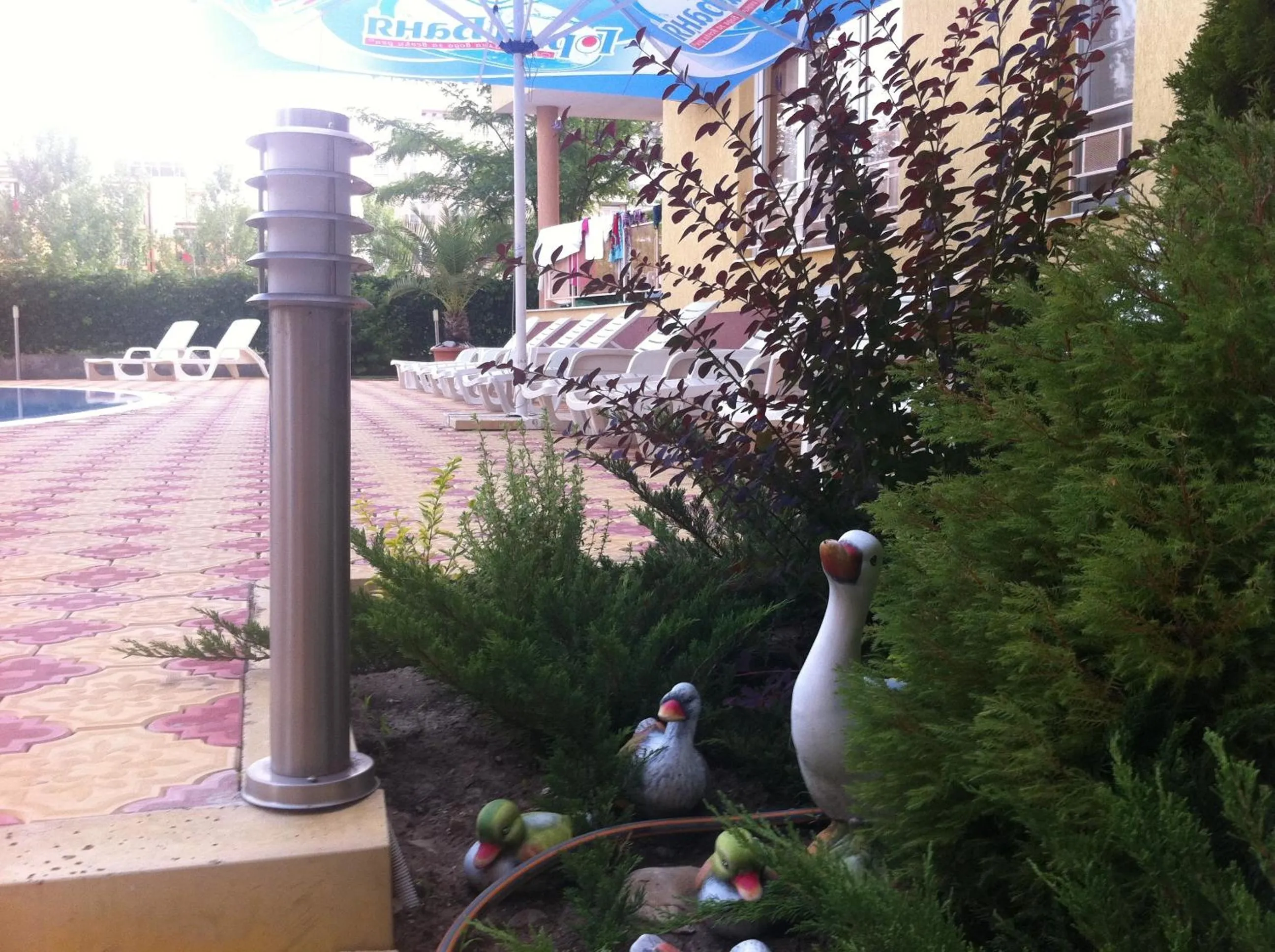 Swimming pool in Beatris Family House