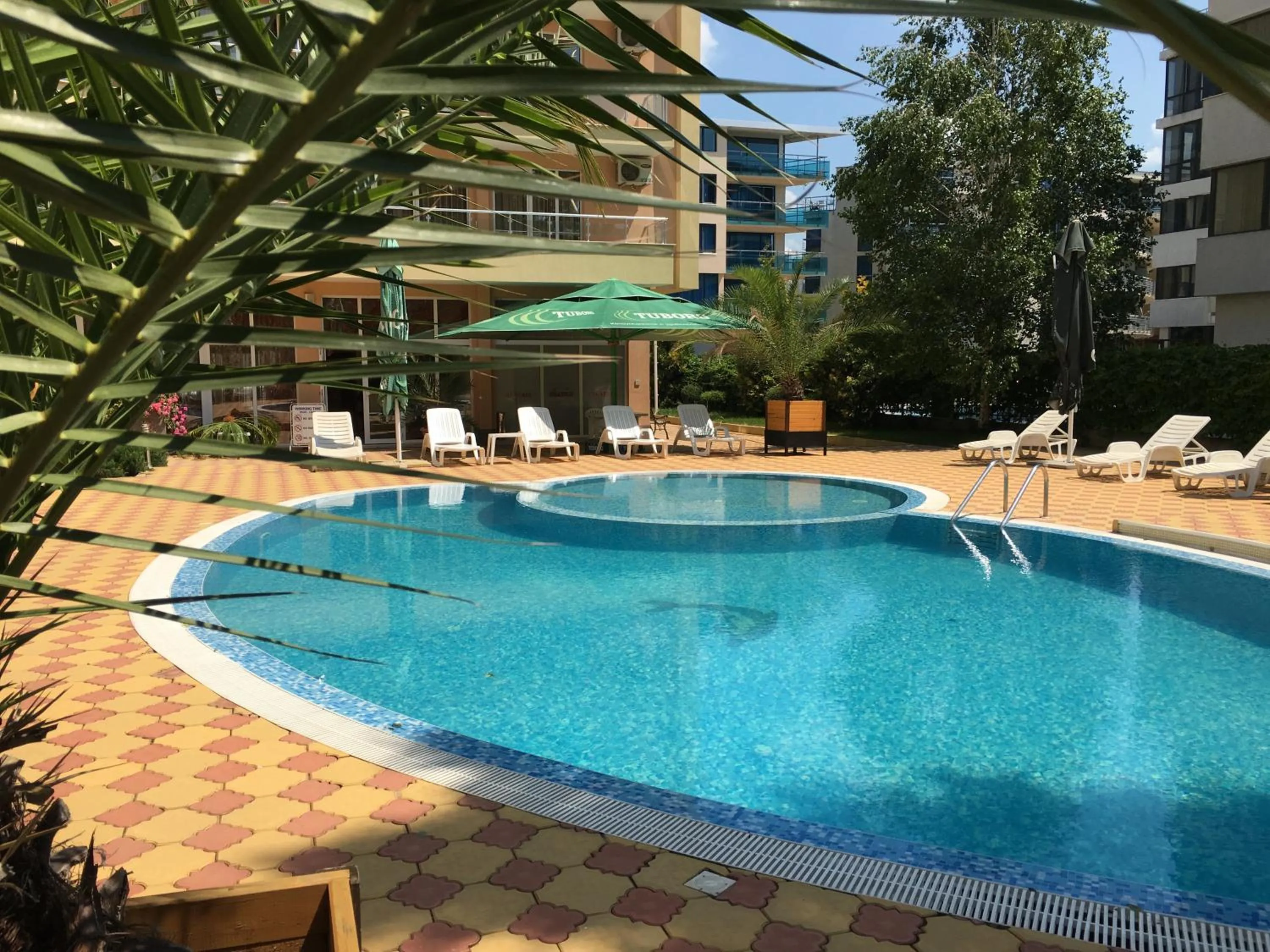 Swimming pool in Beatris Family House