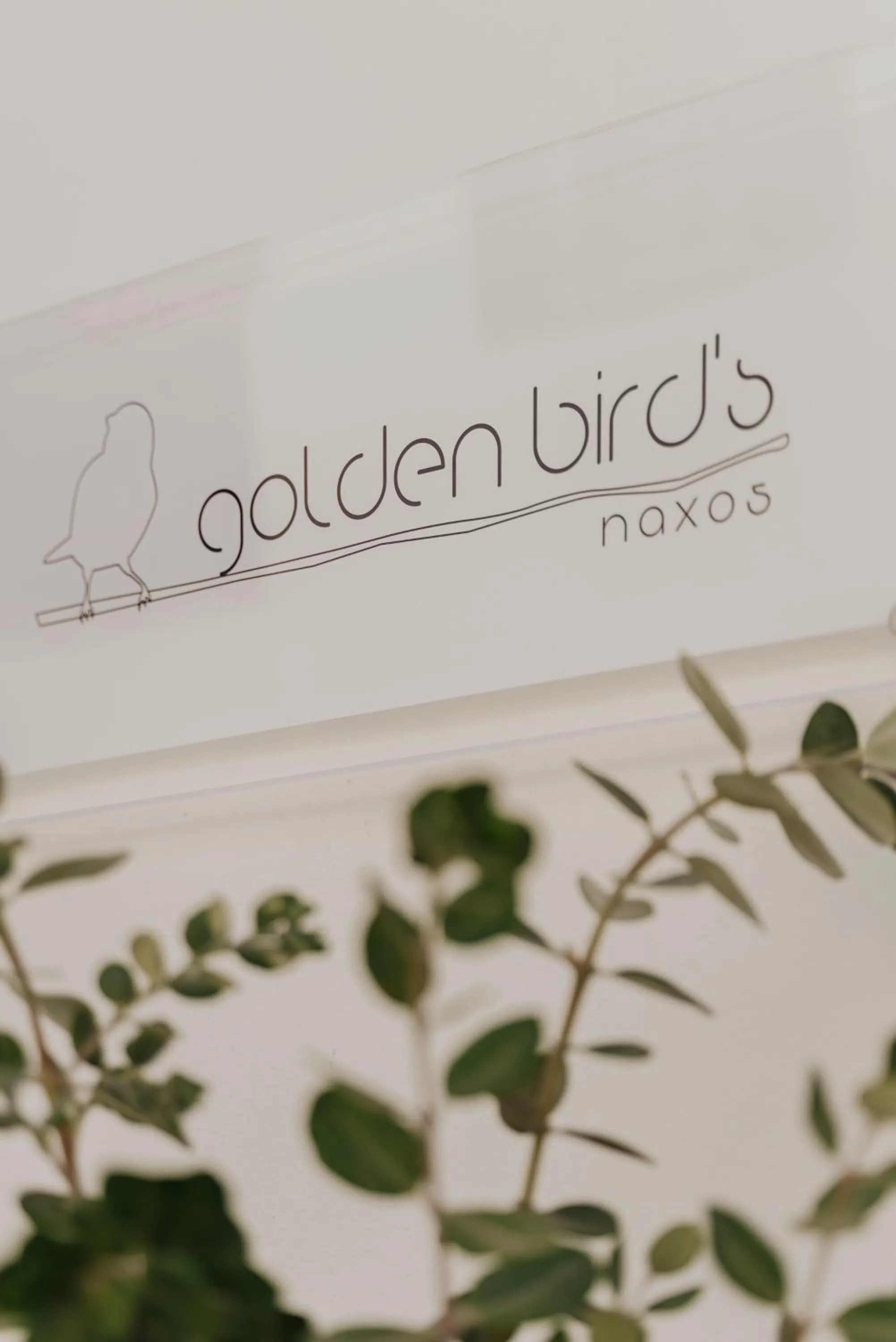 Property logo or sign in Golden Bird's
