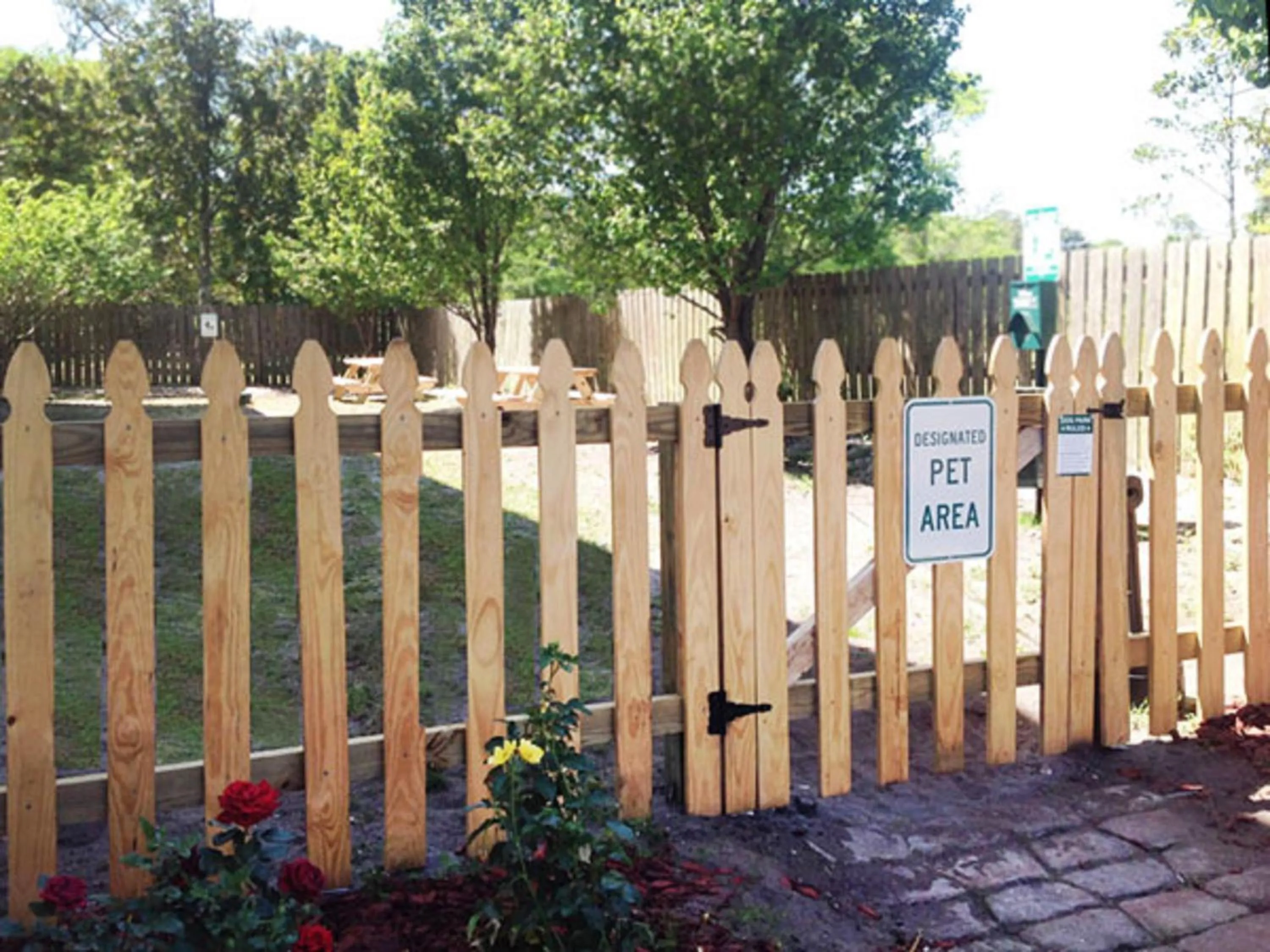 Pets in Pirates Cove