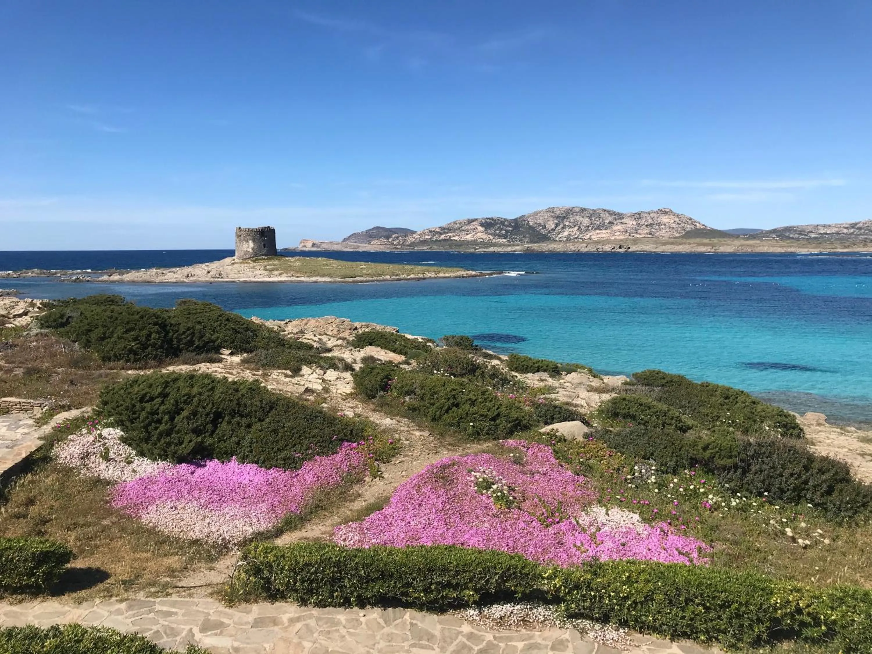 Sea view in Residence Hotel La Pelosetta