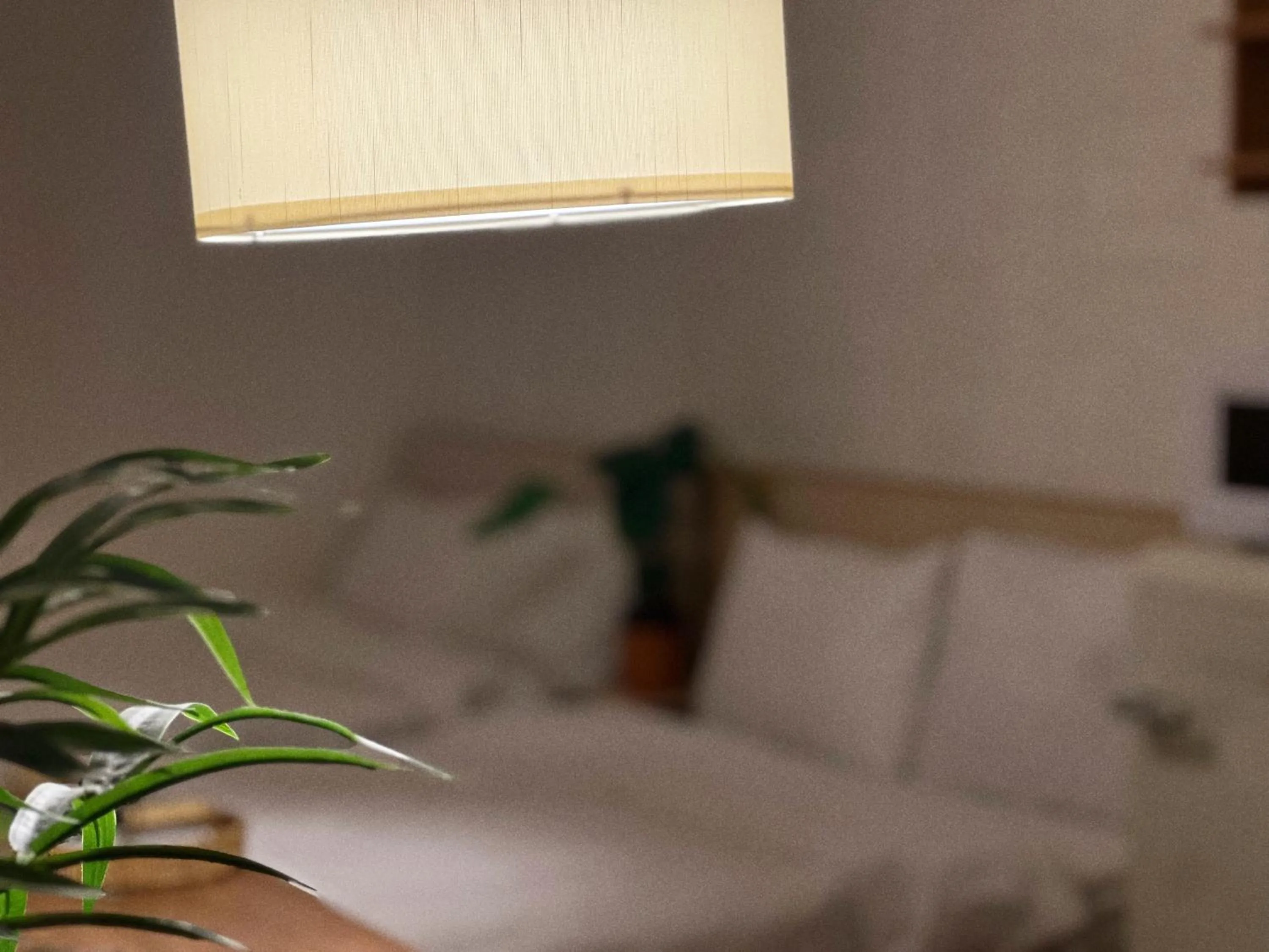 Bed in Jnineguesthouse