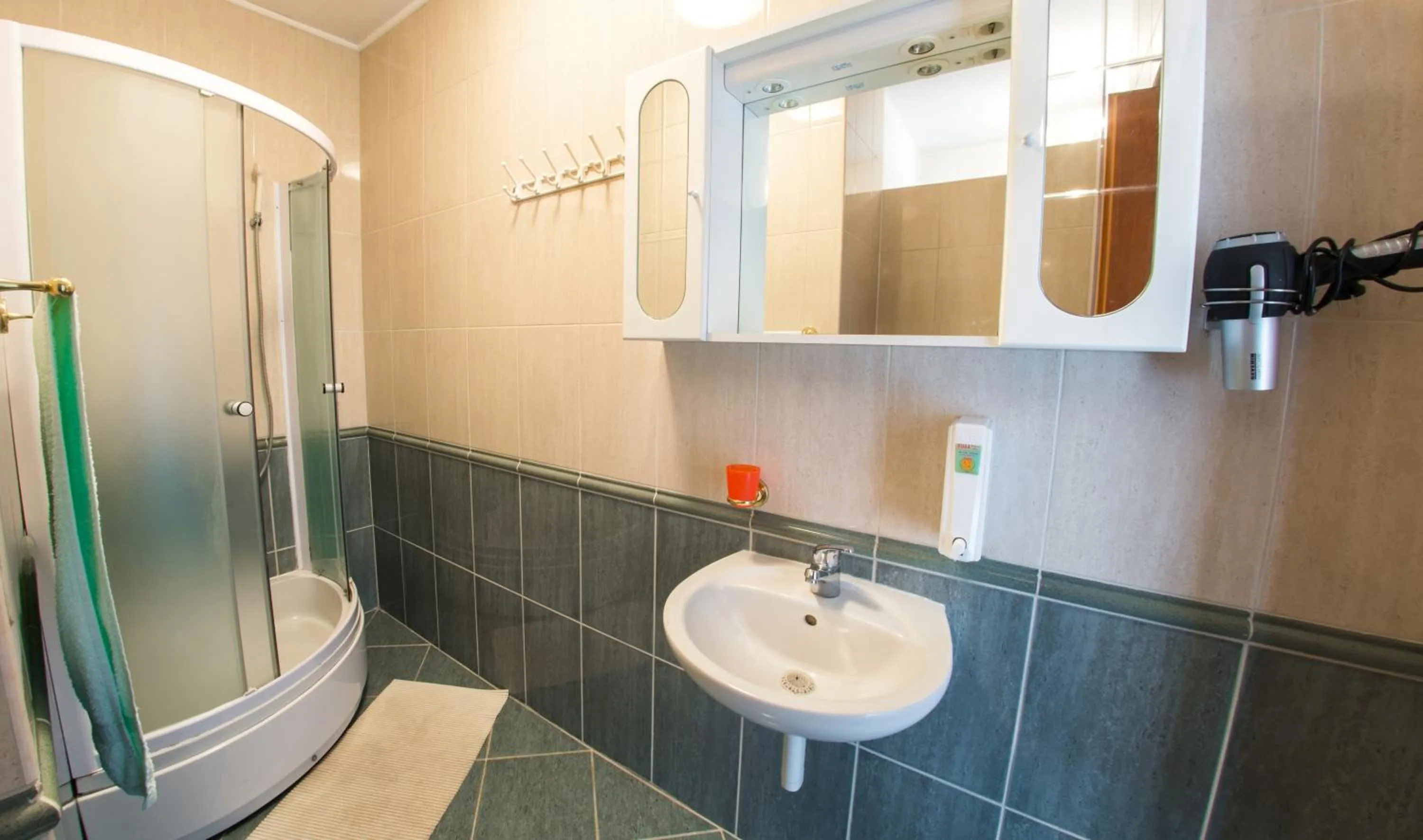 Shower in Apartments Tulipan - with free private parking garage