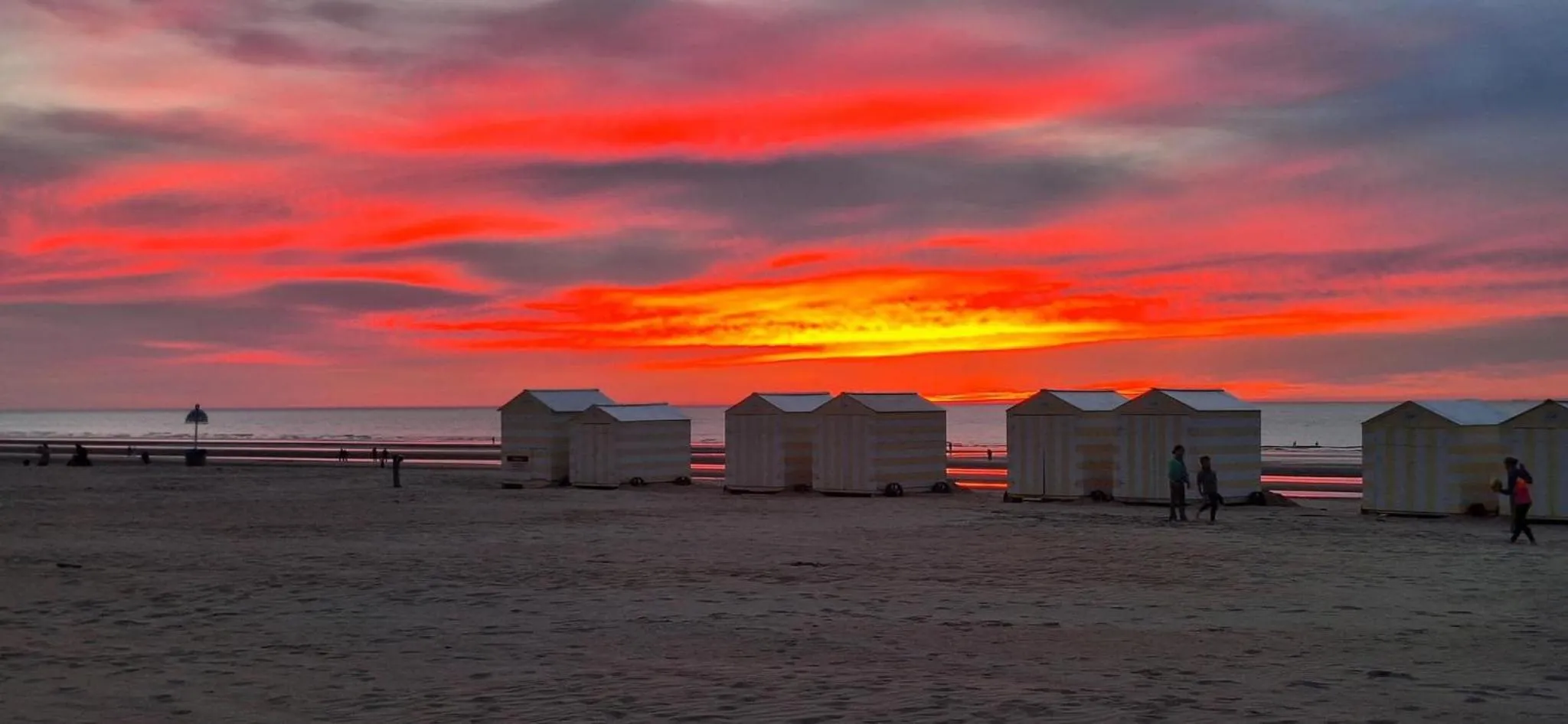 DePanne FiftyOne