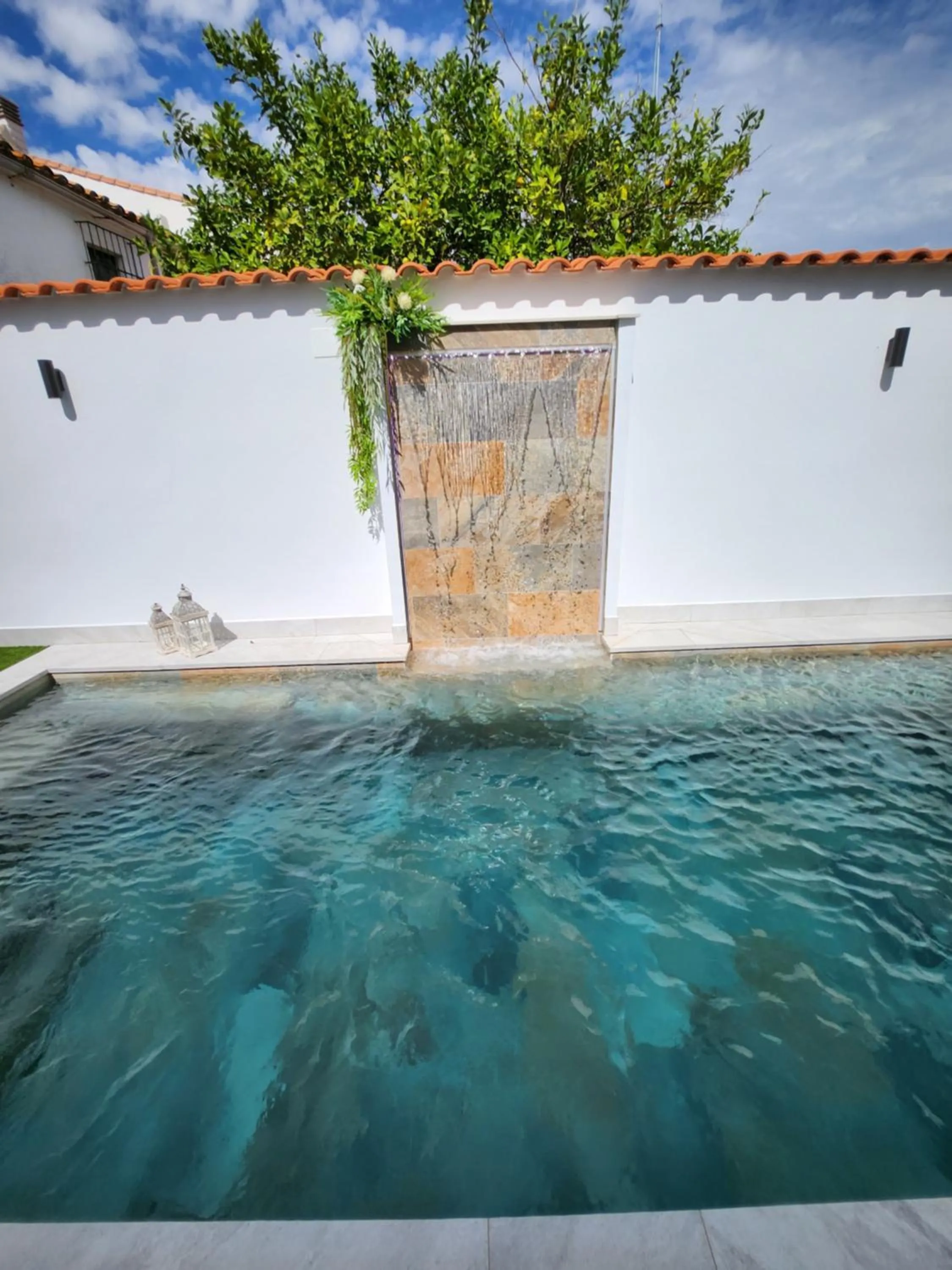 Garden in Hotel Boutique iulia 5 Estrellas