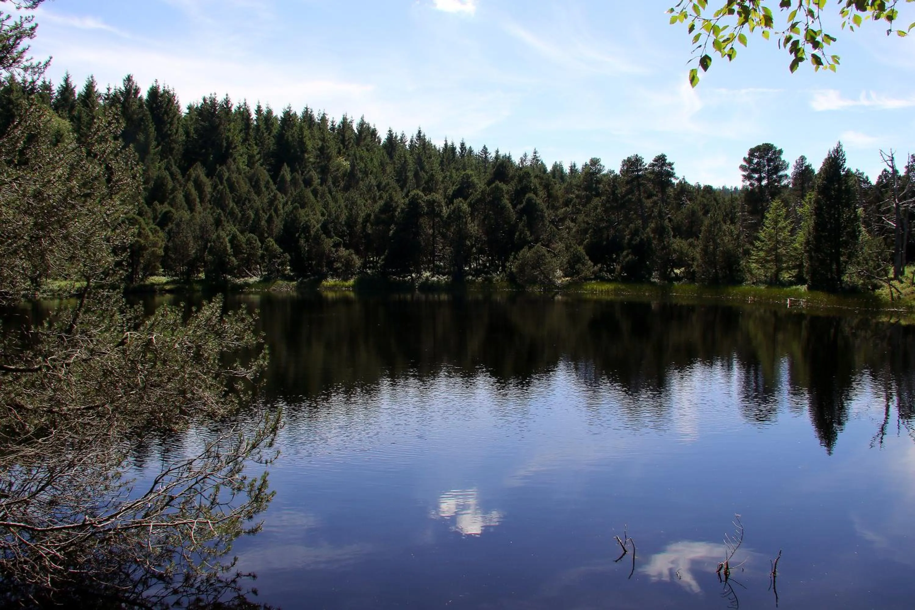 Natural landscape in Landhotel Garni Schweizerhaus