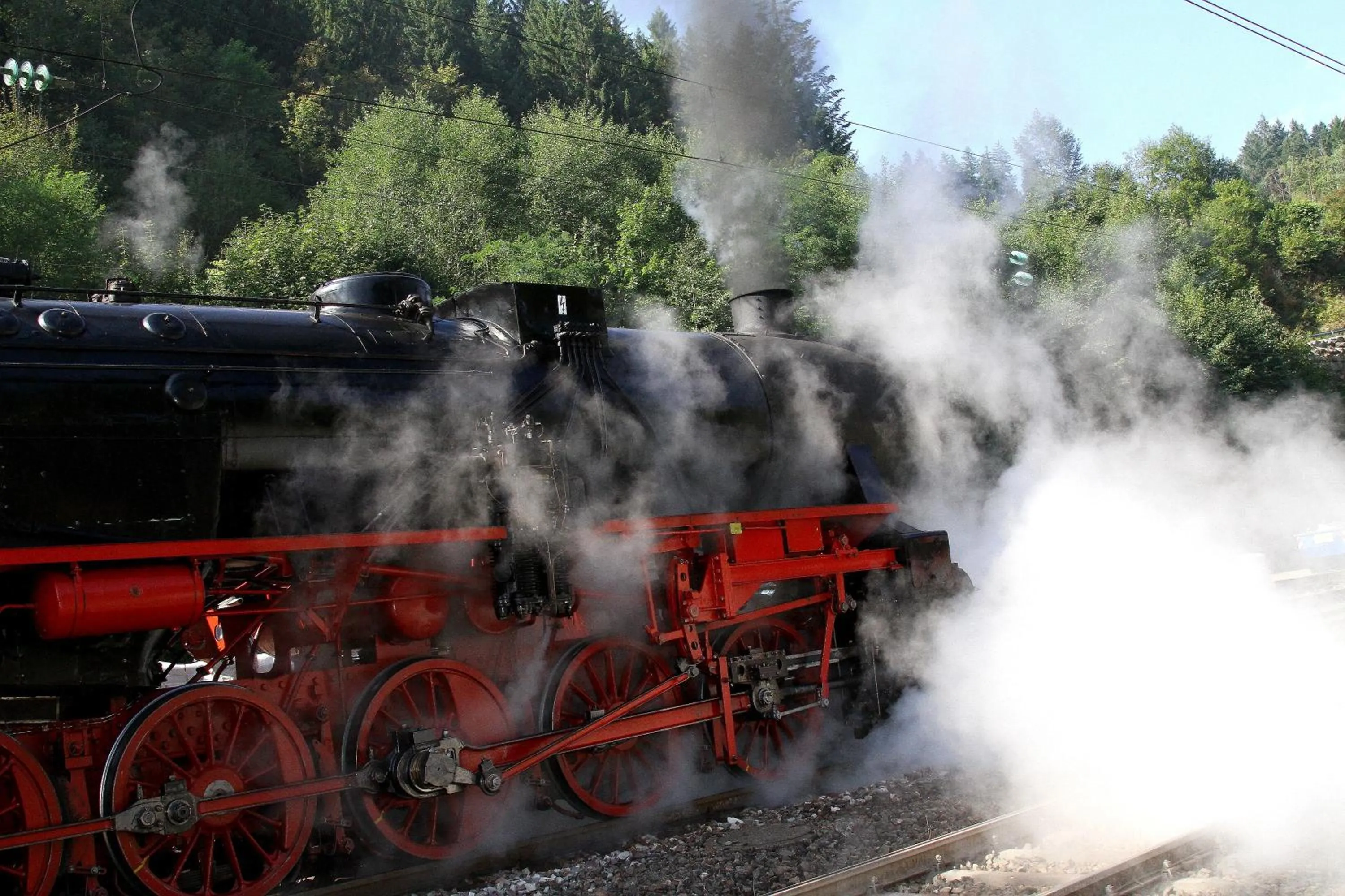 Area and facilities in Landhotel Garni Schweizerhaus