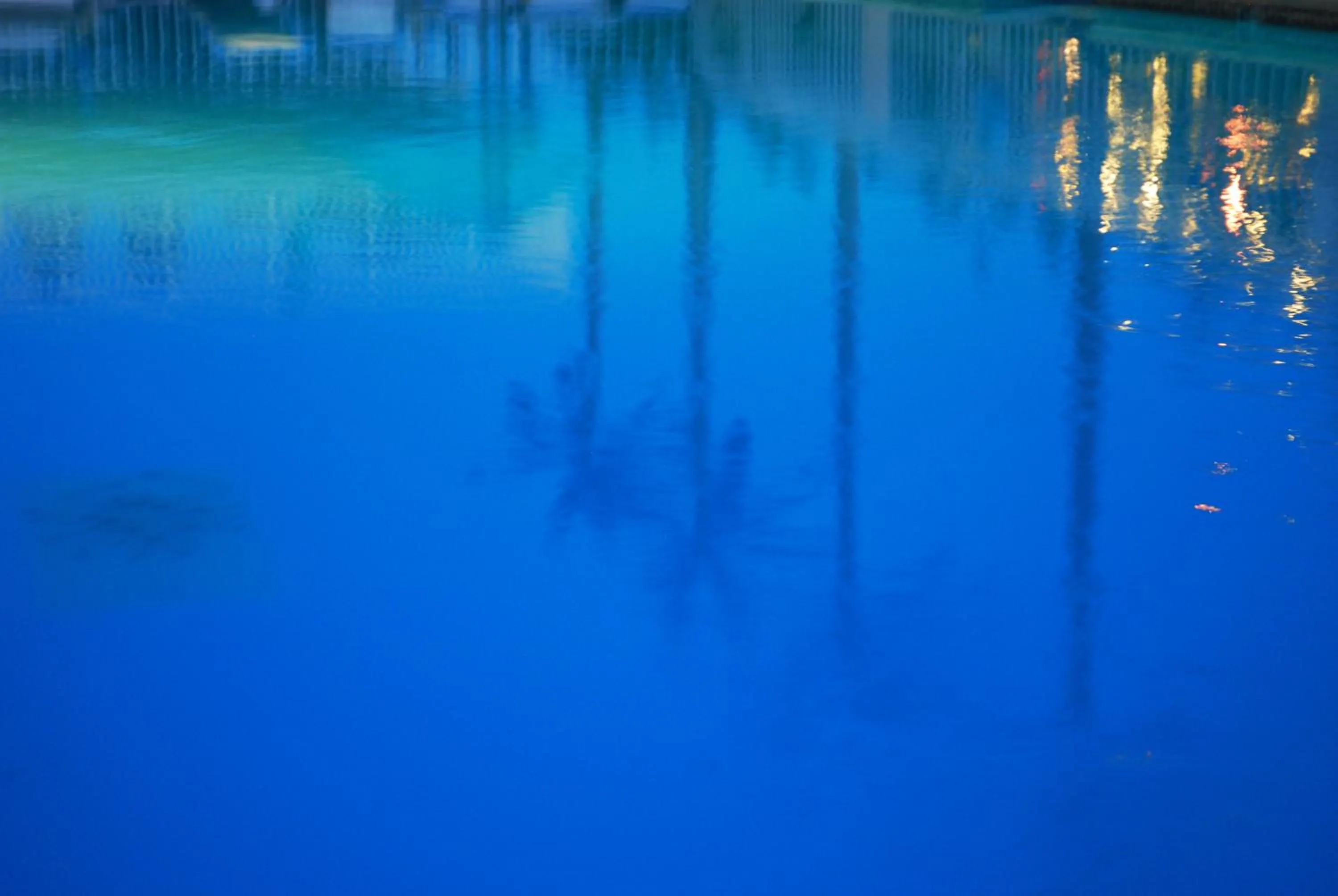 Decorative detail in Shalimar Resort