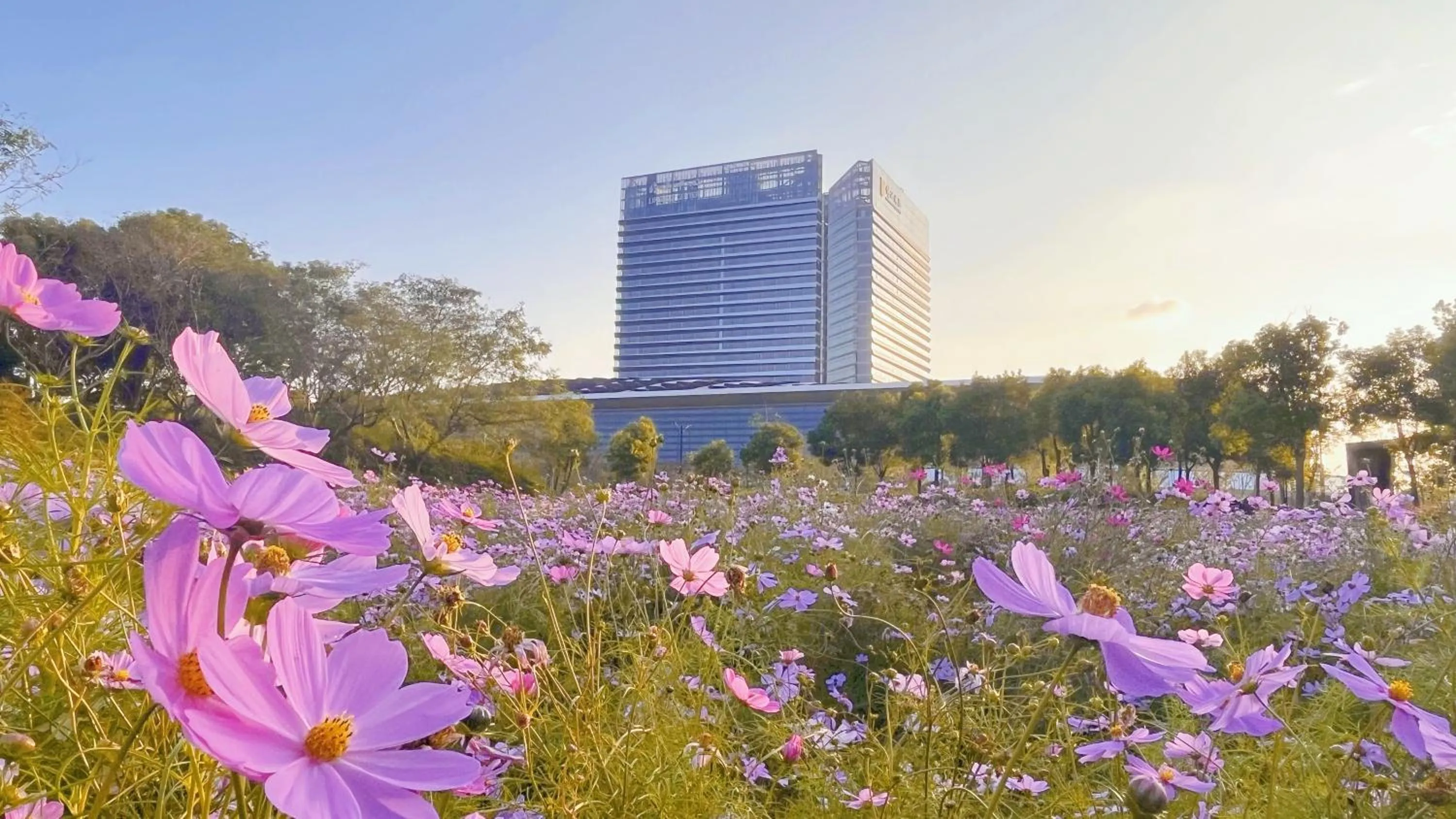 Property building in Radisson Collection Lingang Shanghai